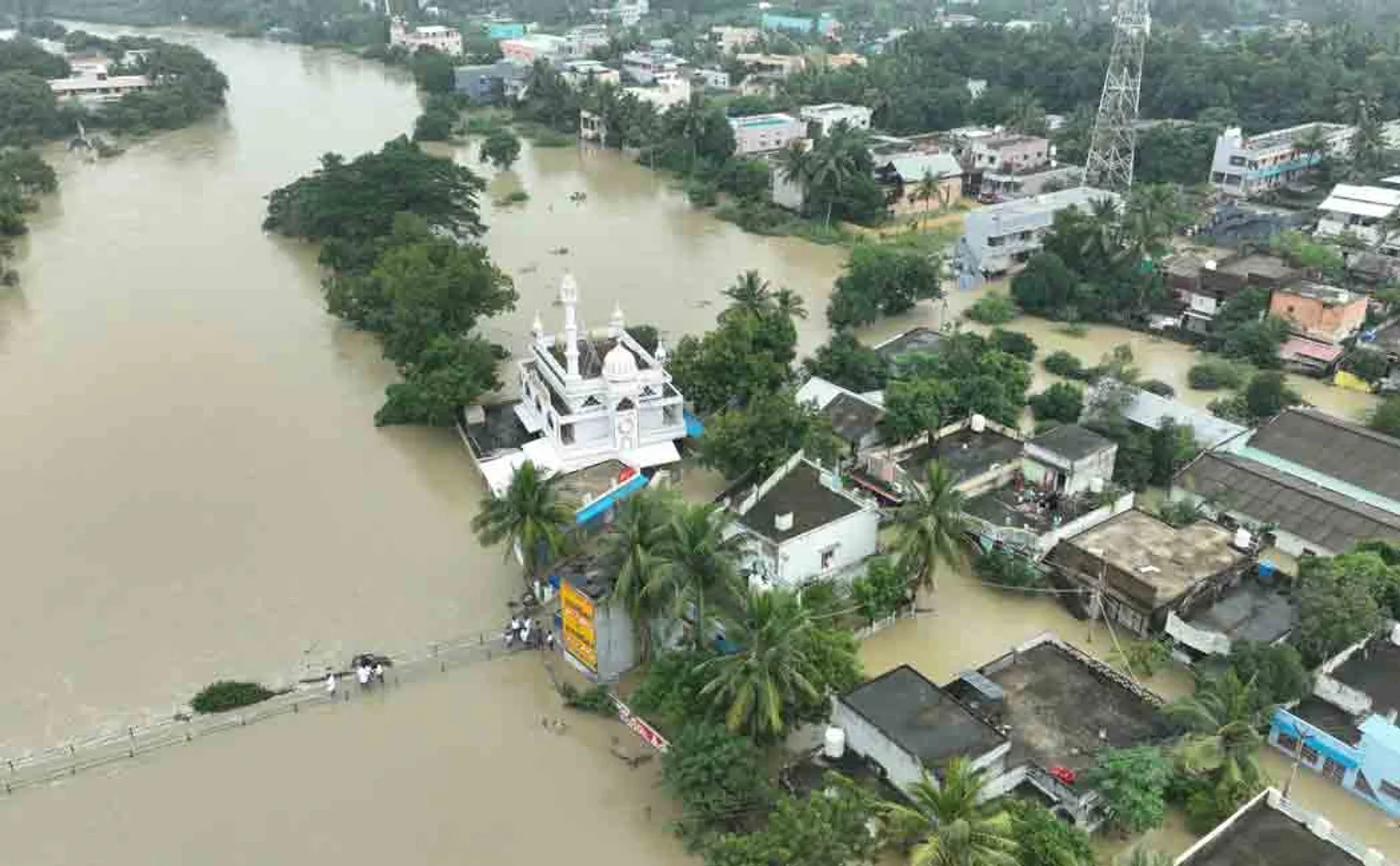 Relief for flood damage Kattumannarkoil area 