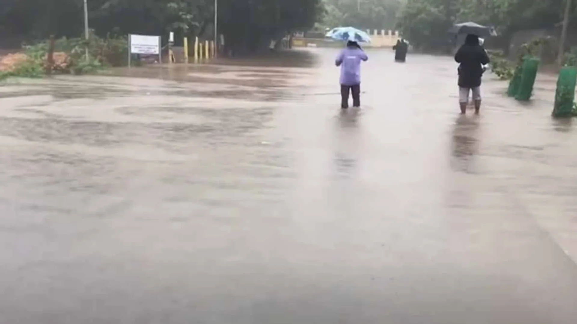 Rainwater seeping inside the District Collector's office