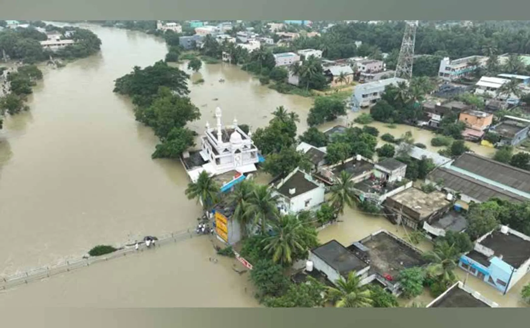 Sinthanai Selvan insists Recovery work should be accelerated