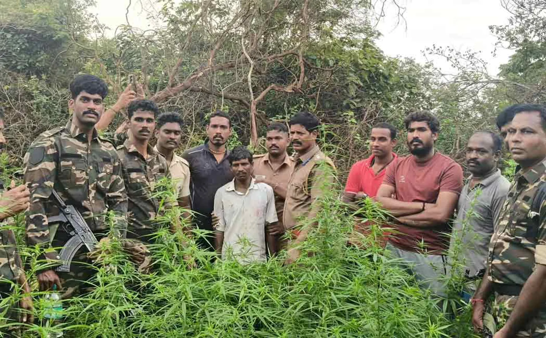 Man arrested for growing cannabis plants on Kalvarayan Hills