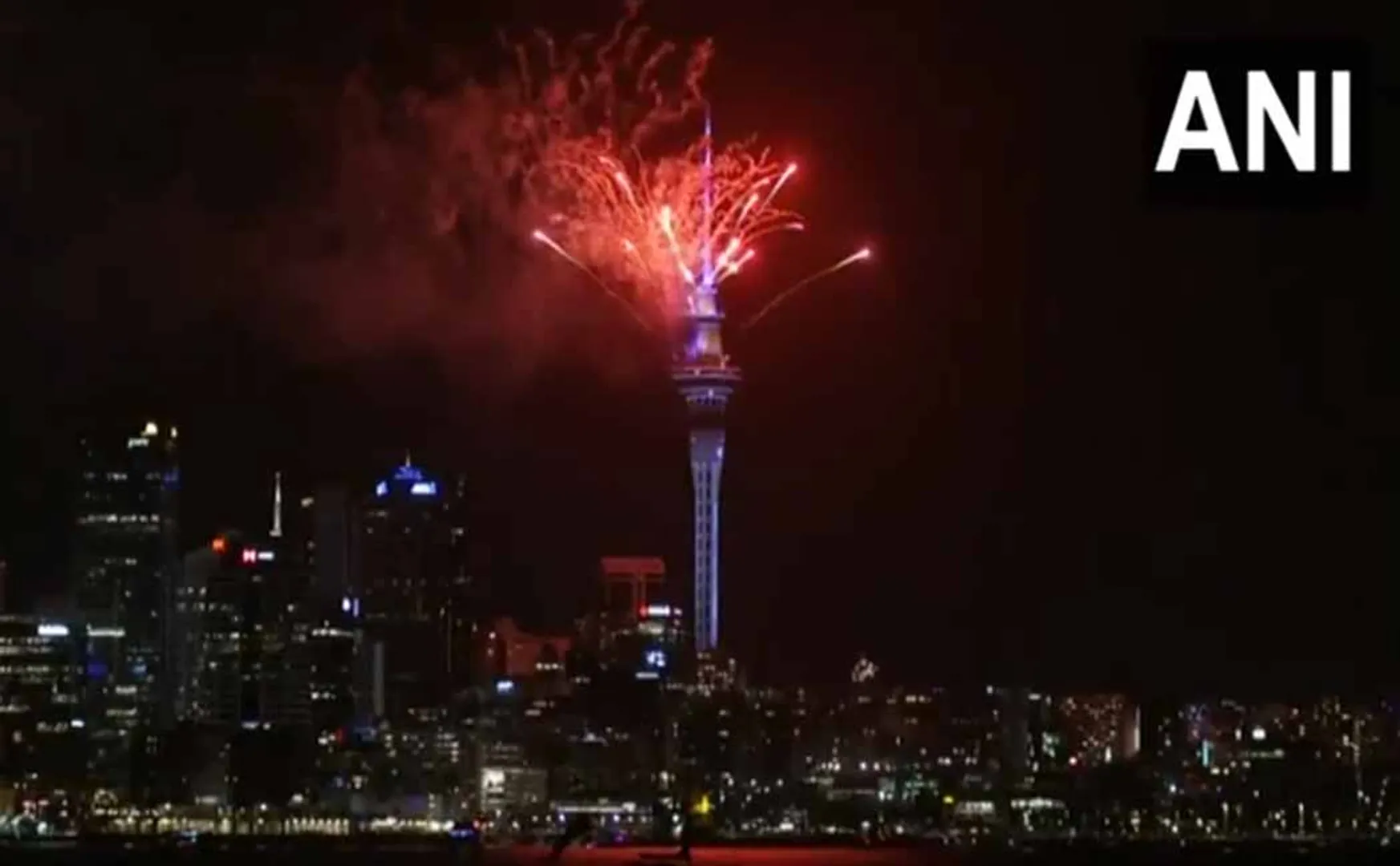 Born in New Zealand is New Year 2025
