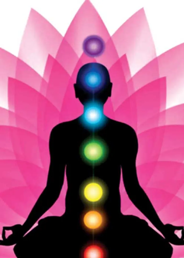 /idhalgal/balajothidam/your-body-your-home-new-vastu-shastra-44