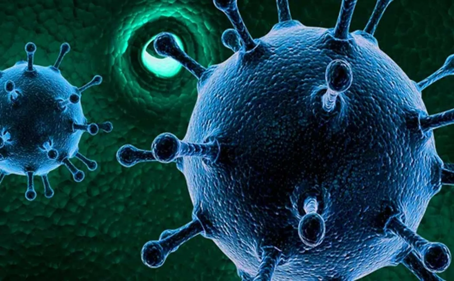 A HMPV virus that spreads fast like  Corona in china