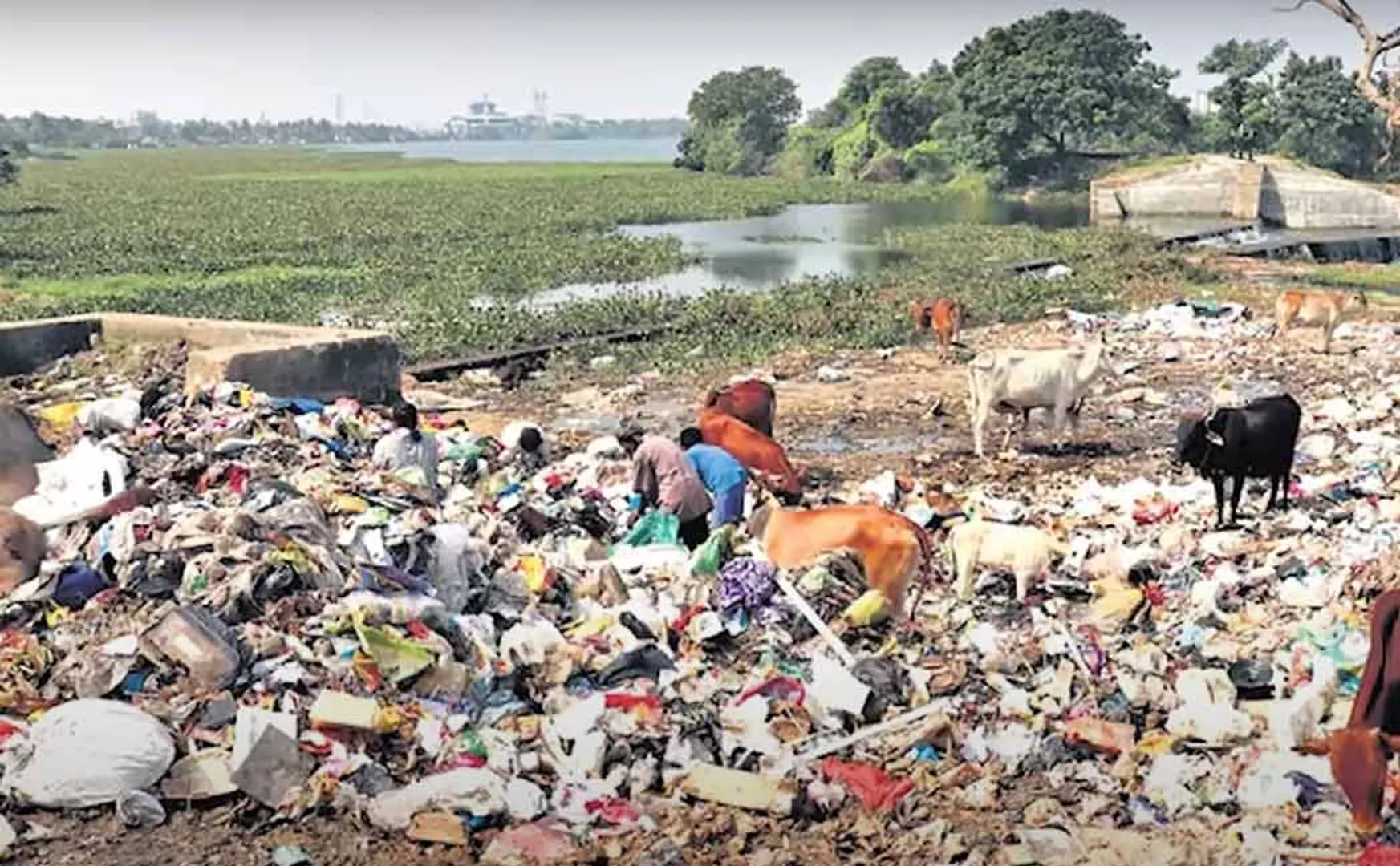 Panchayat build garbage dump drinking water lake in Perumbakkam