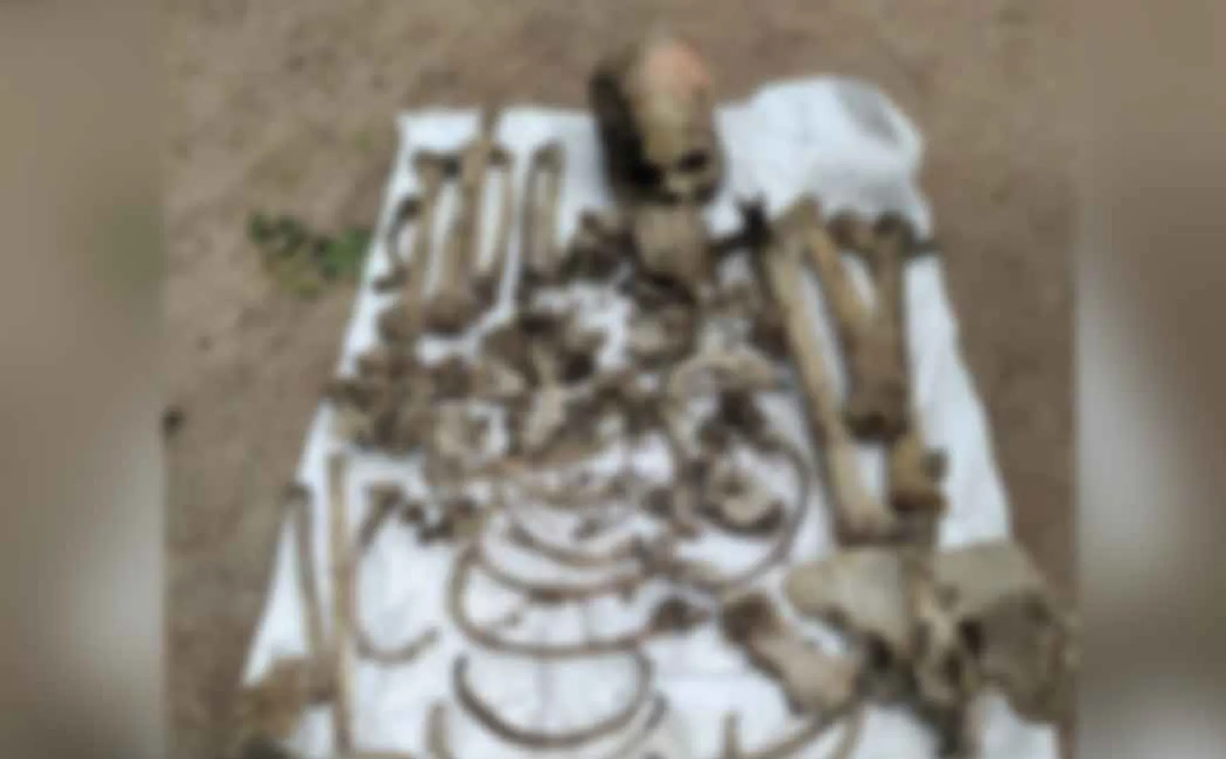 Human bones found in a pond in Pudukkottai