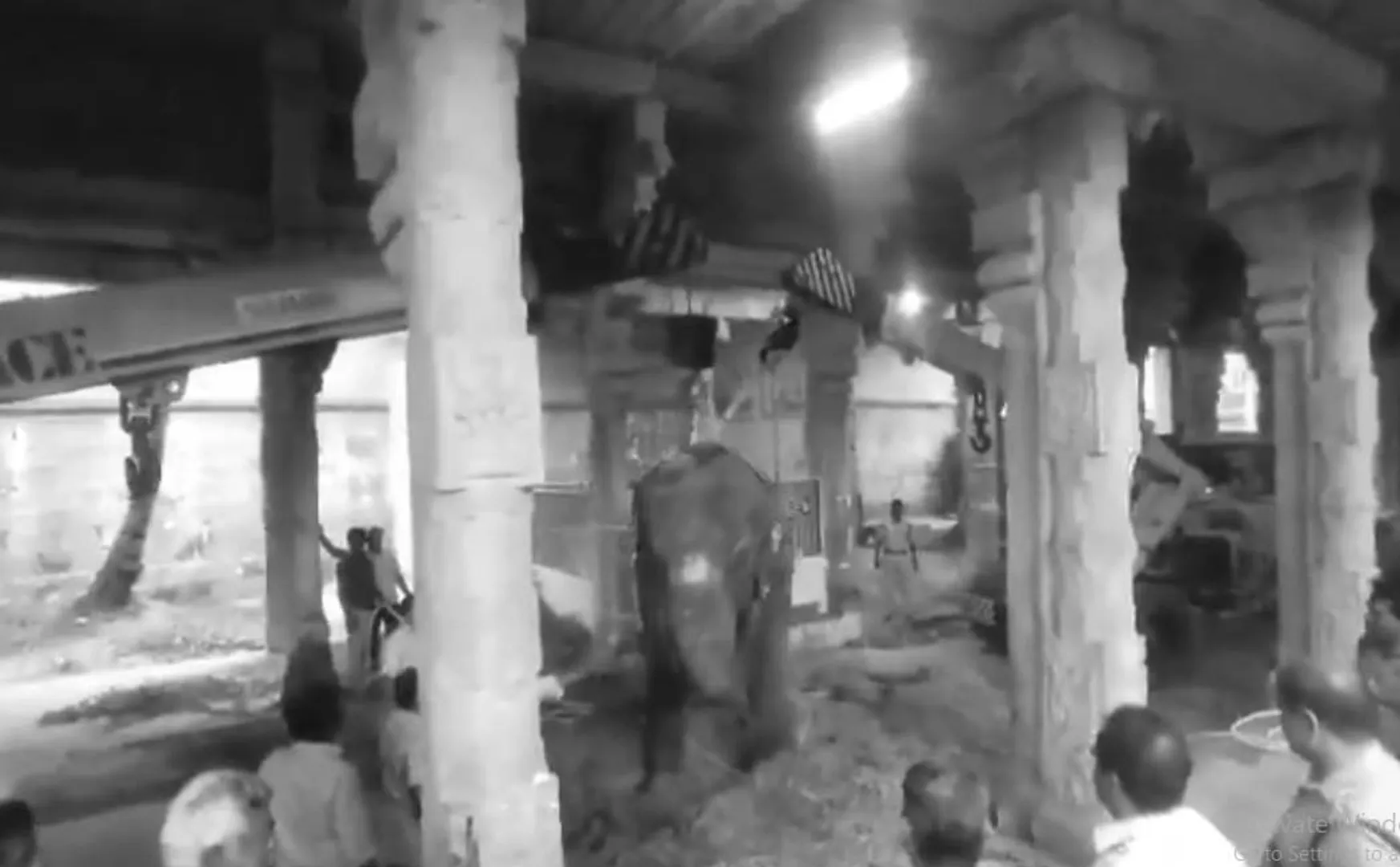 Nellaiappar temple elephant Gandhimathi passed away