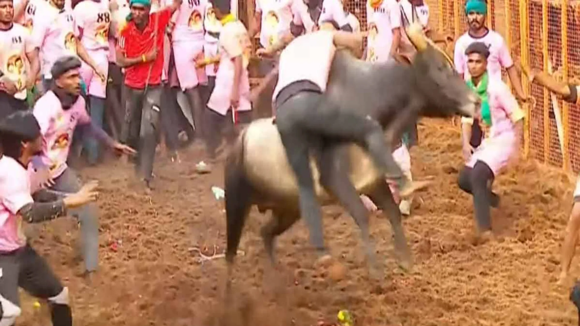 Avaniyapuram Jallikattu; 11 people were injured