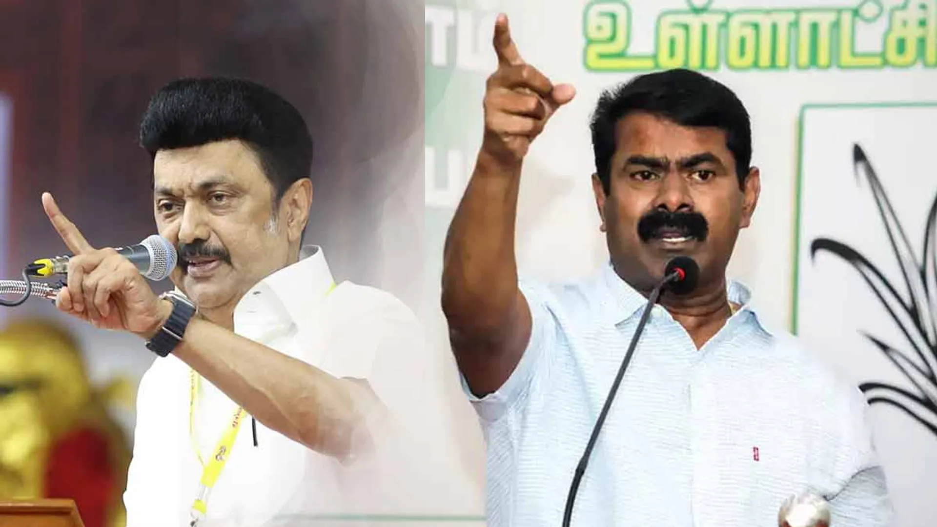 Erode by-election; DMK is fighting, Naam Tamizhar Party