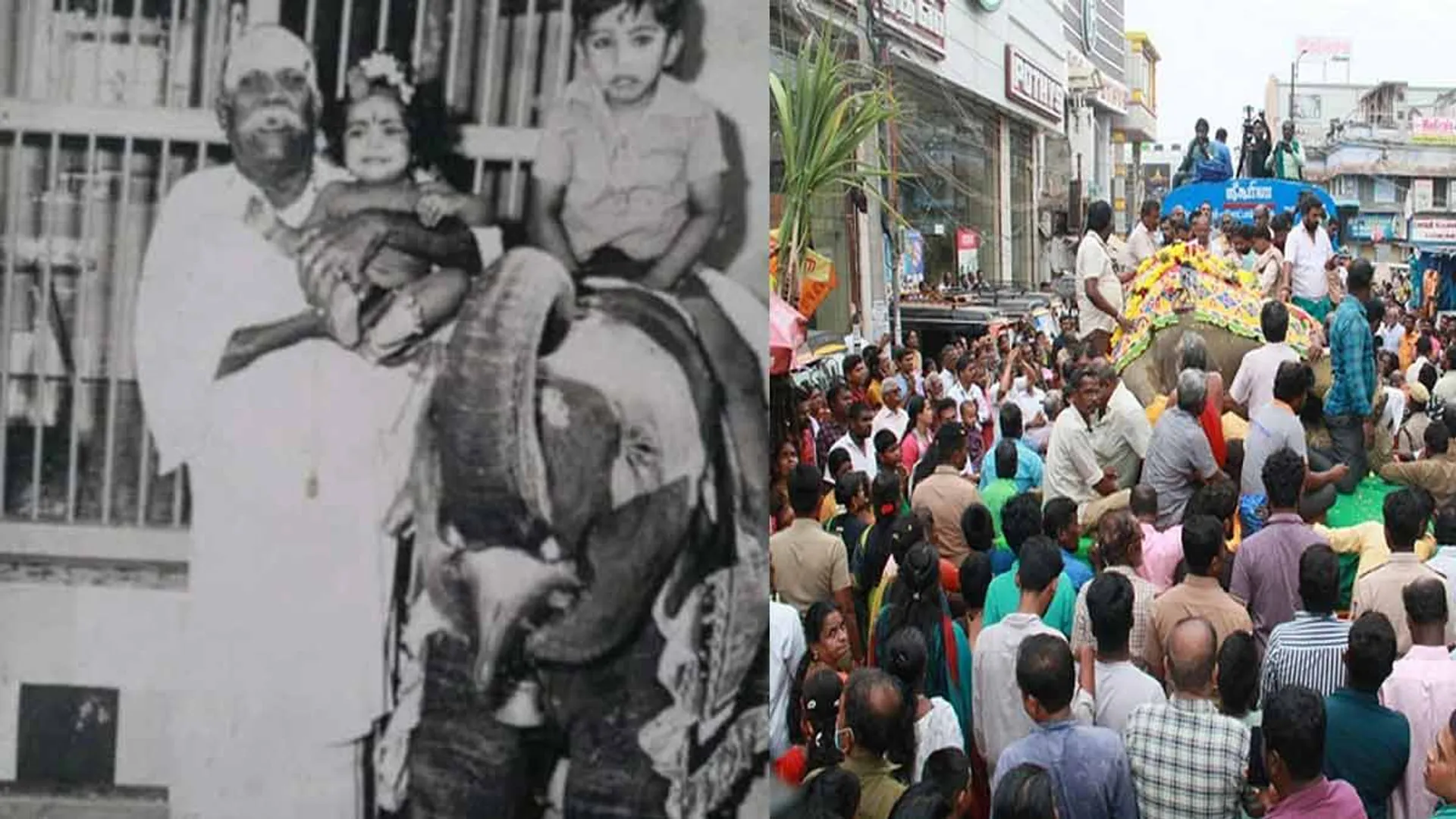   Gandhimati elephant passedaway-screaming devotees