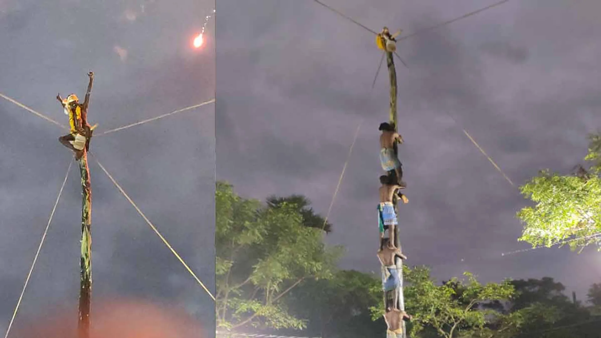 Slippery tree climbing competition! Alanchirangadu team's series win!