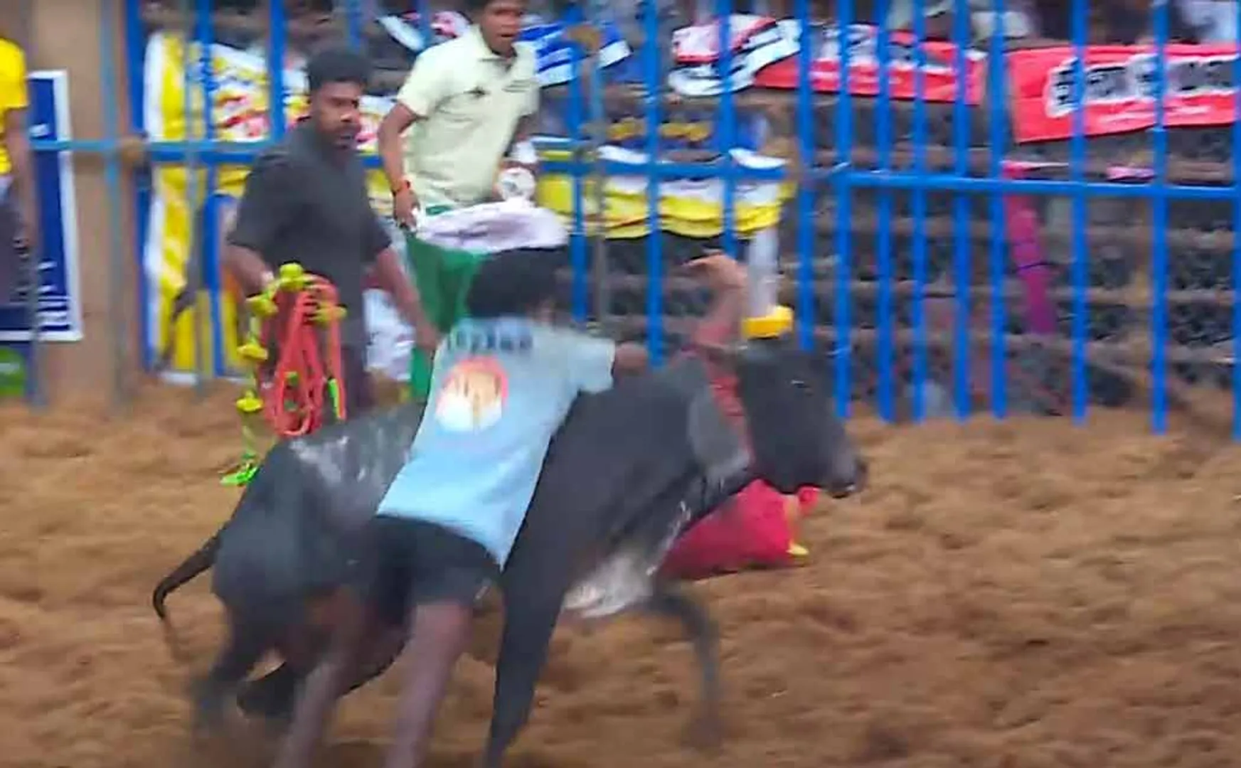 Alankanallur Jallikattu Completed on pongal 