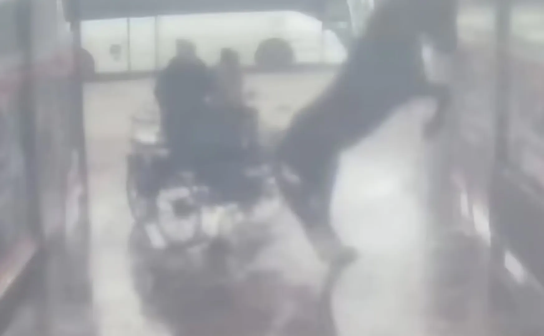 Owner gets 3 years in prison for bathing horse in hot water in poland 