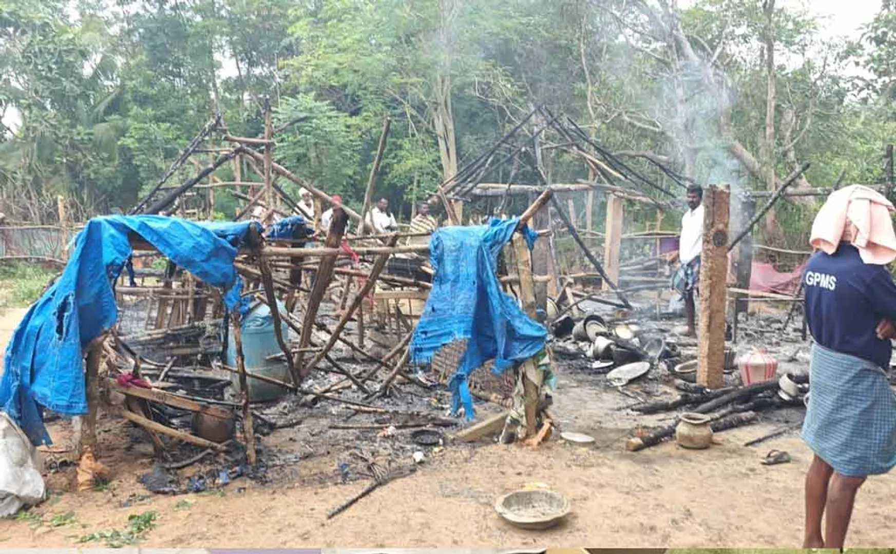 6 goats, 15 chickens lost in accident  