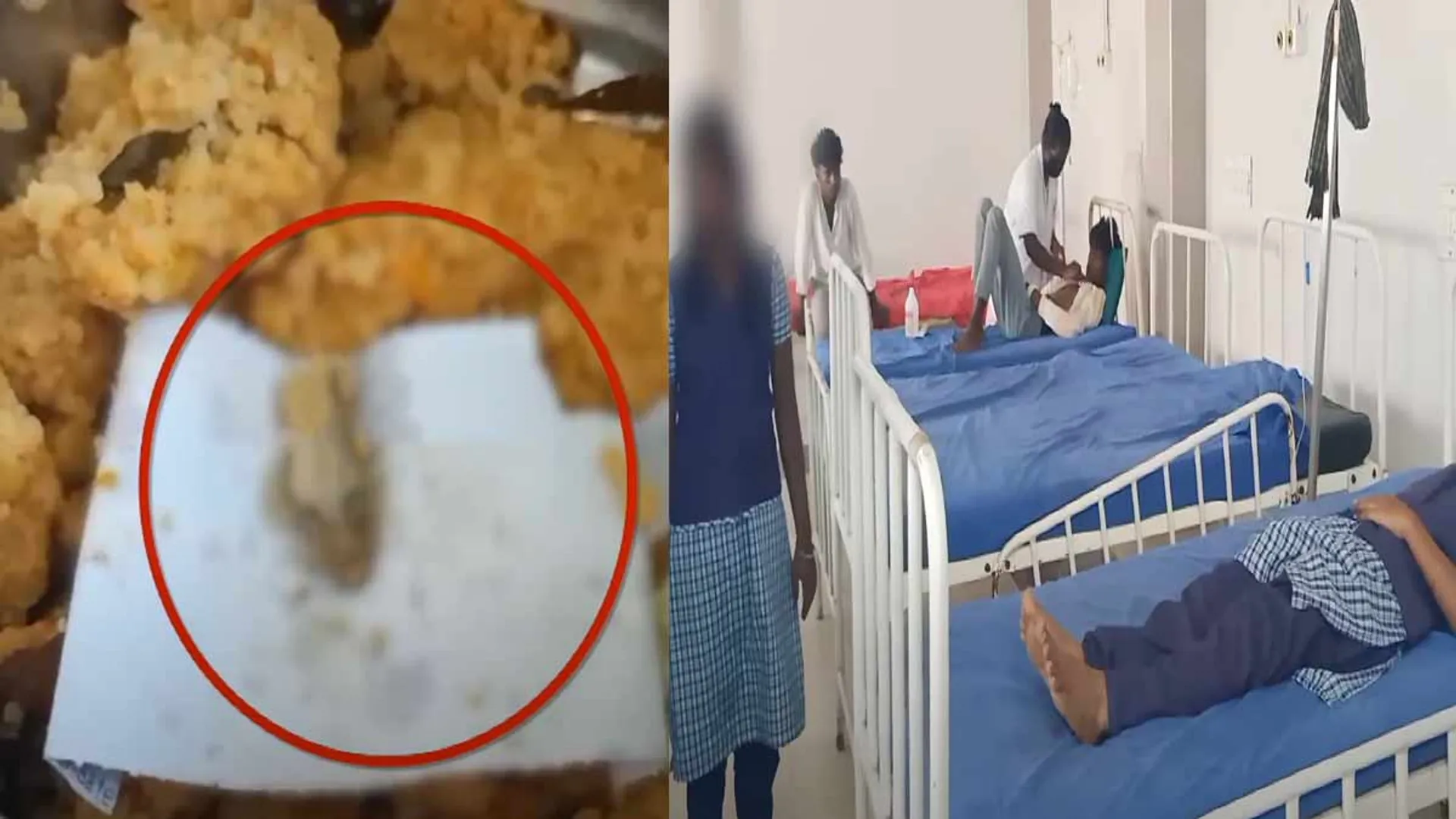  Lizard In food; Students are vomiting and fainting