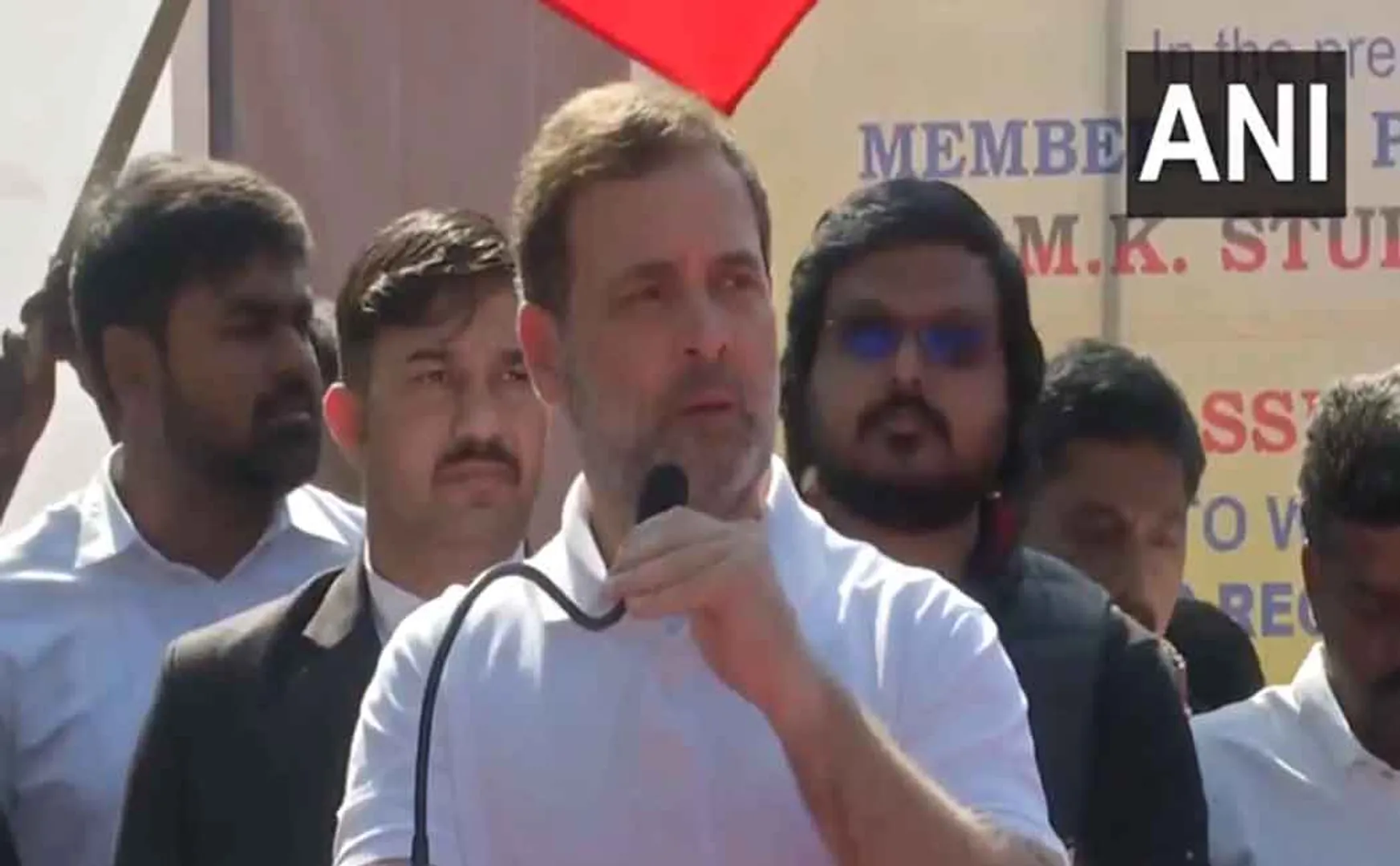 Many struggles should happen Rahul Gandhi MP Speech