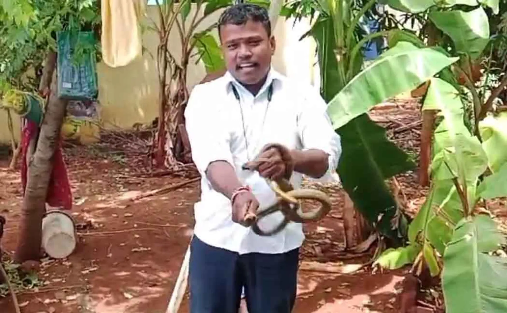  “Snakes must remain alive for the balance of nature” - Snake savior Jeevan Arulsamy!