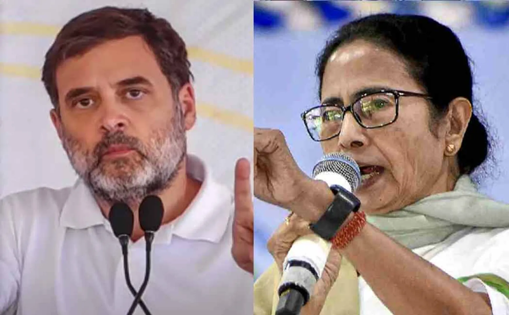 Mamata banerjee assured no alliance congress in west bengal