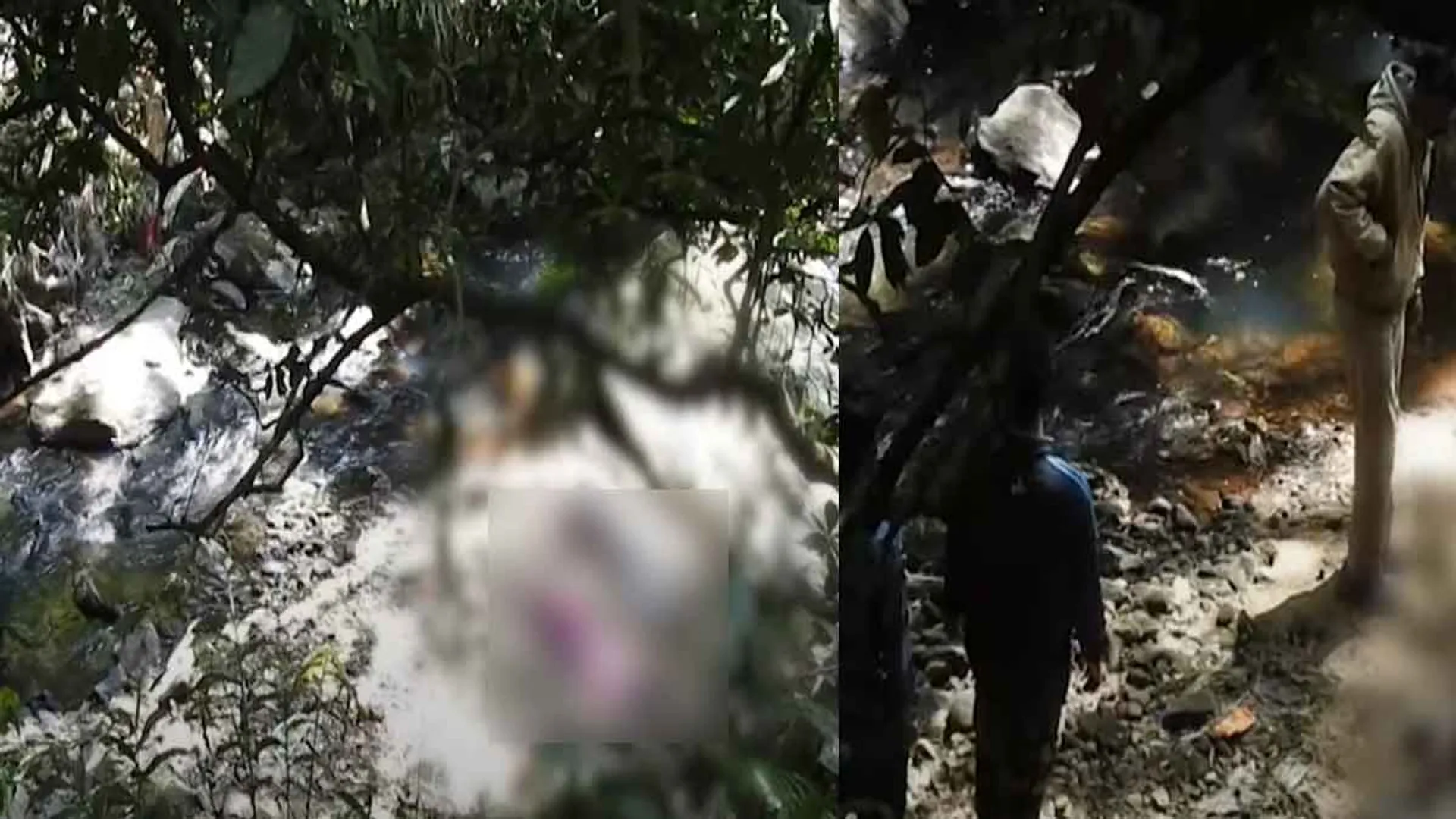 Elderly couple found lose their live near waterfall; Forest Department investigating