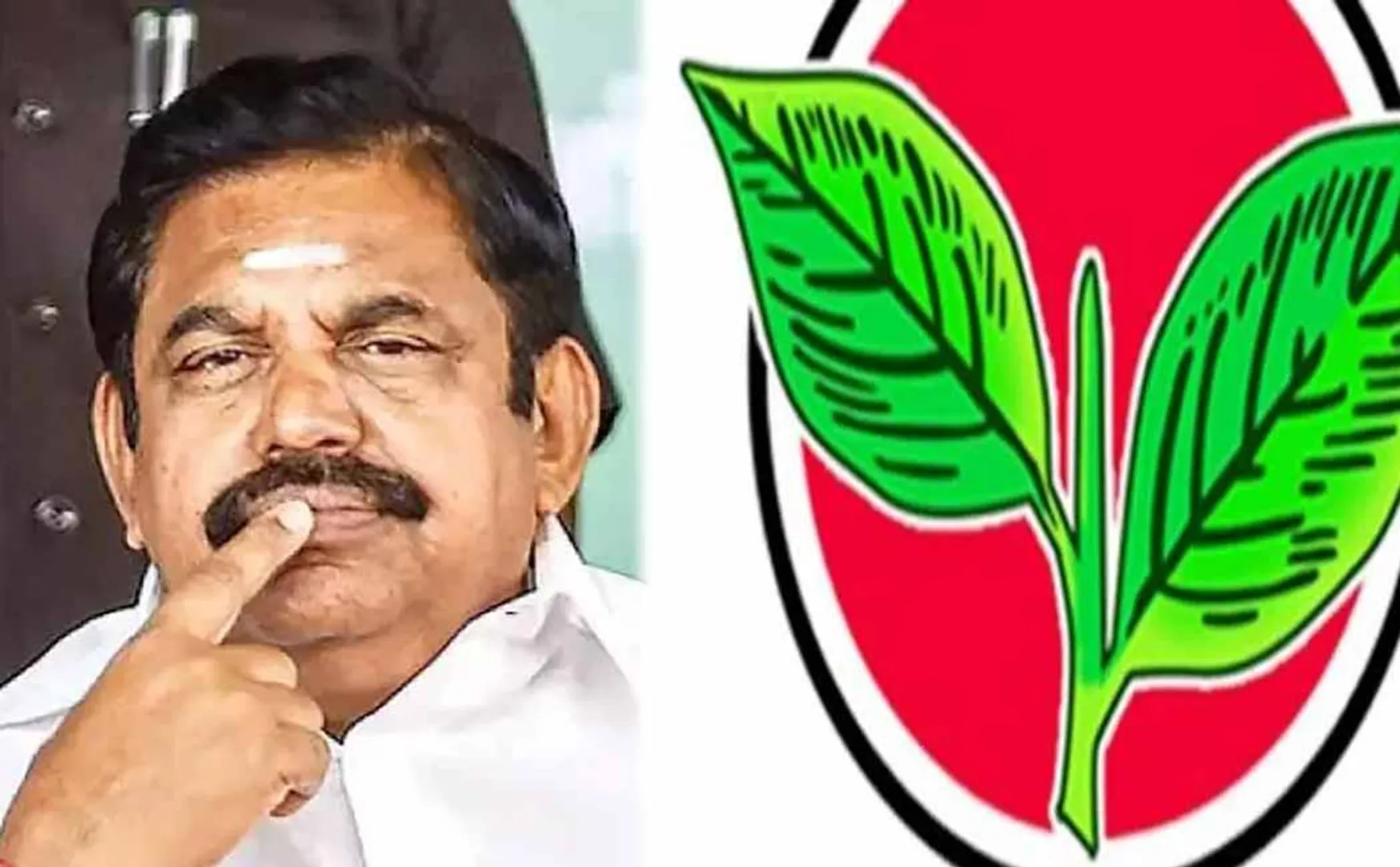 Double leaf symbol to be banned in two weeks?