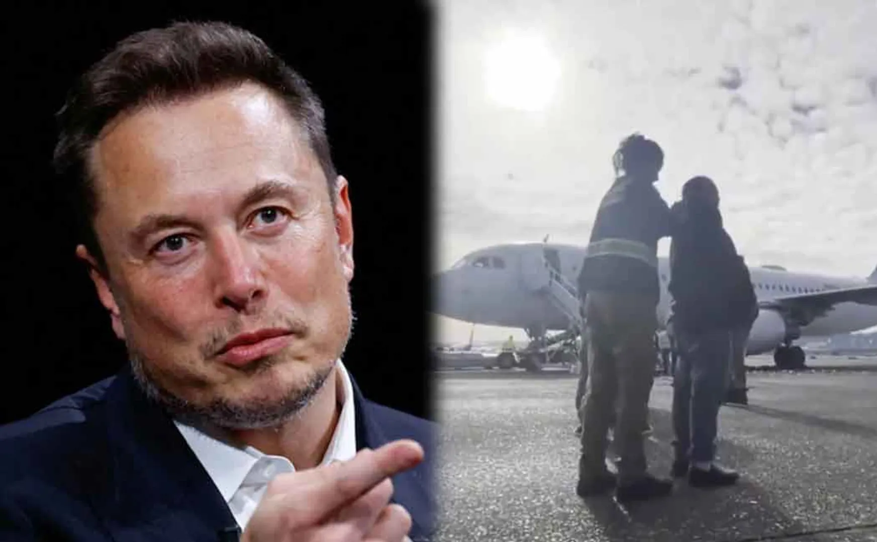 haa haa wow elon musk white house alien