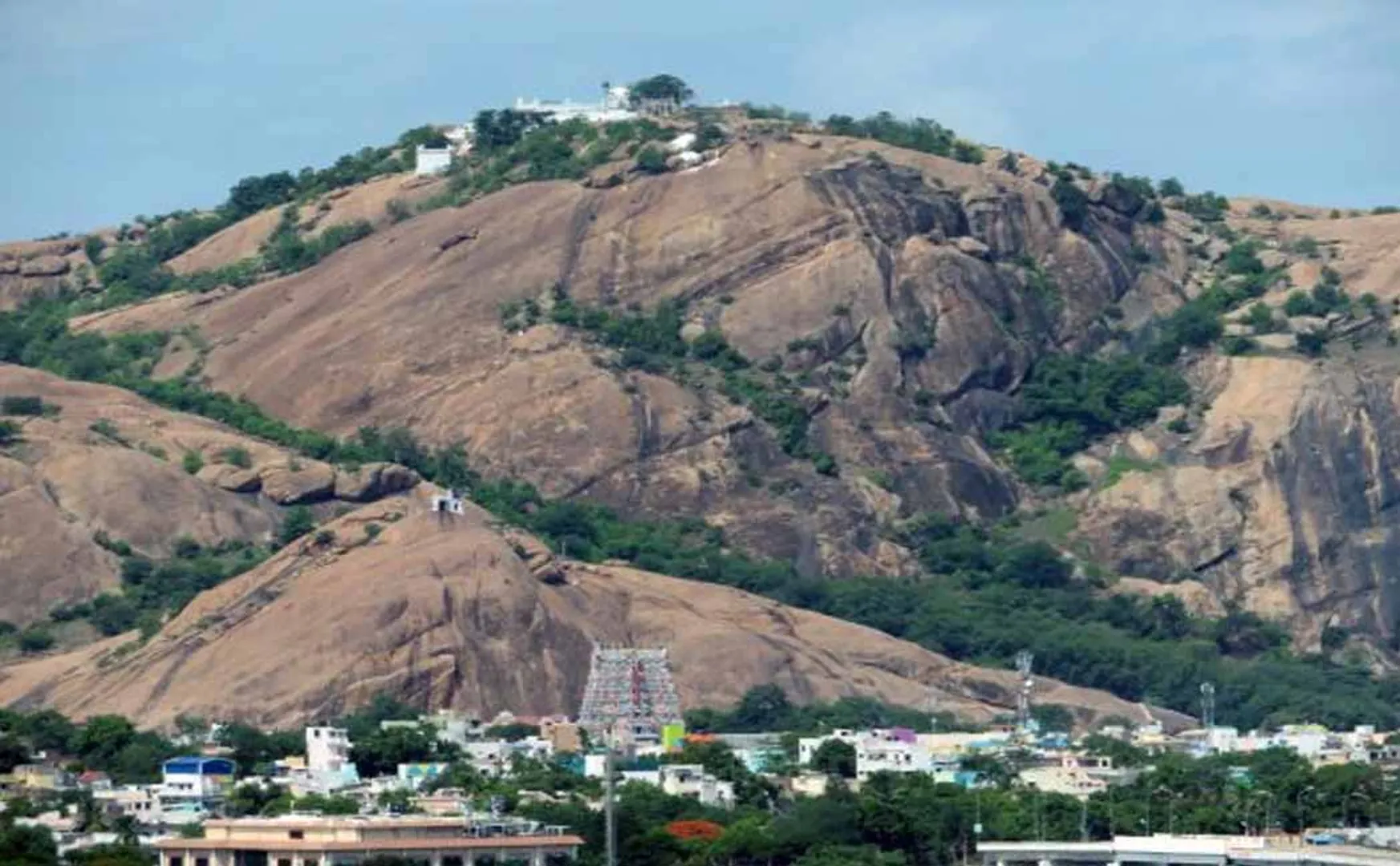 Court's opinion on Thiruparankundram Hill issue