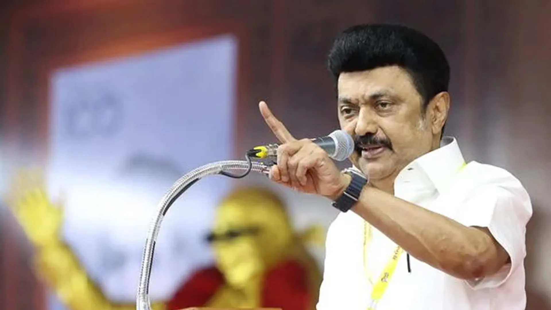 'Don't throw stones at the honey comb: Don't be tempted to see the unique character of Tamils' - Chief Minister M.K. Stalin's advic