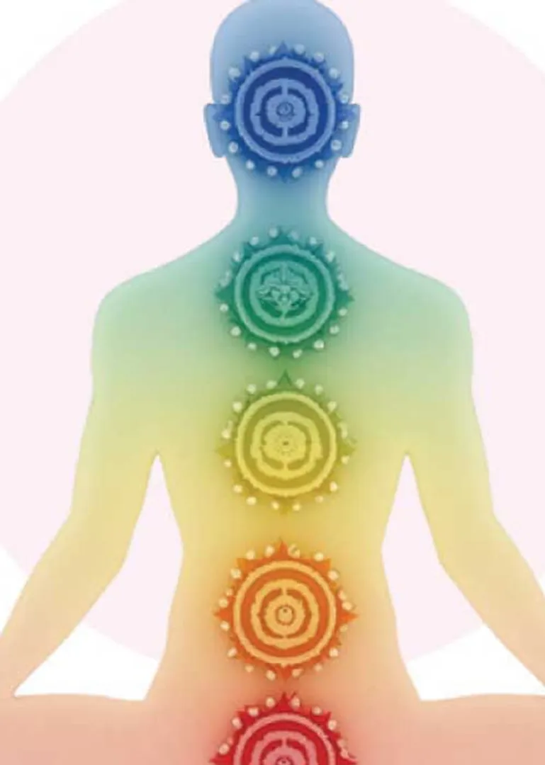 /idhalgal/balajothidam/your-body-your-home-new-vastu-shastra-53