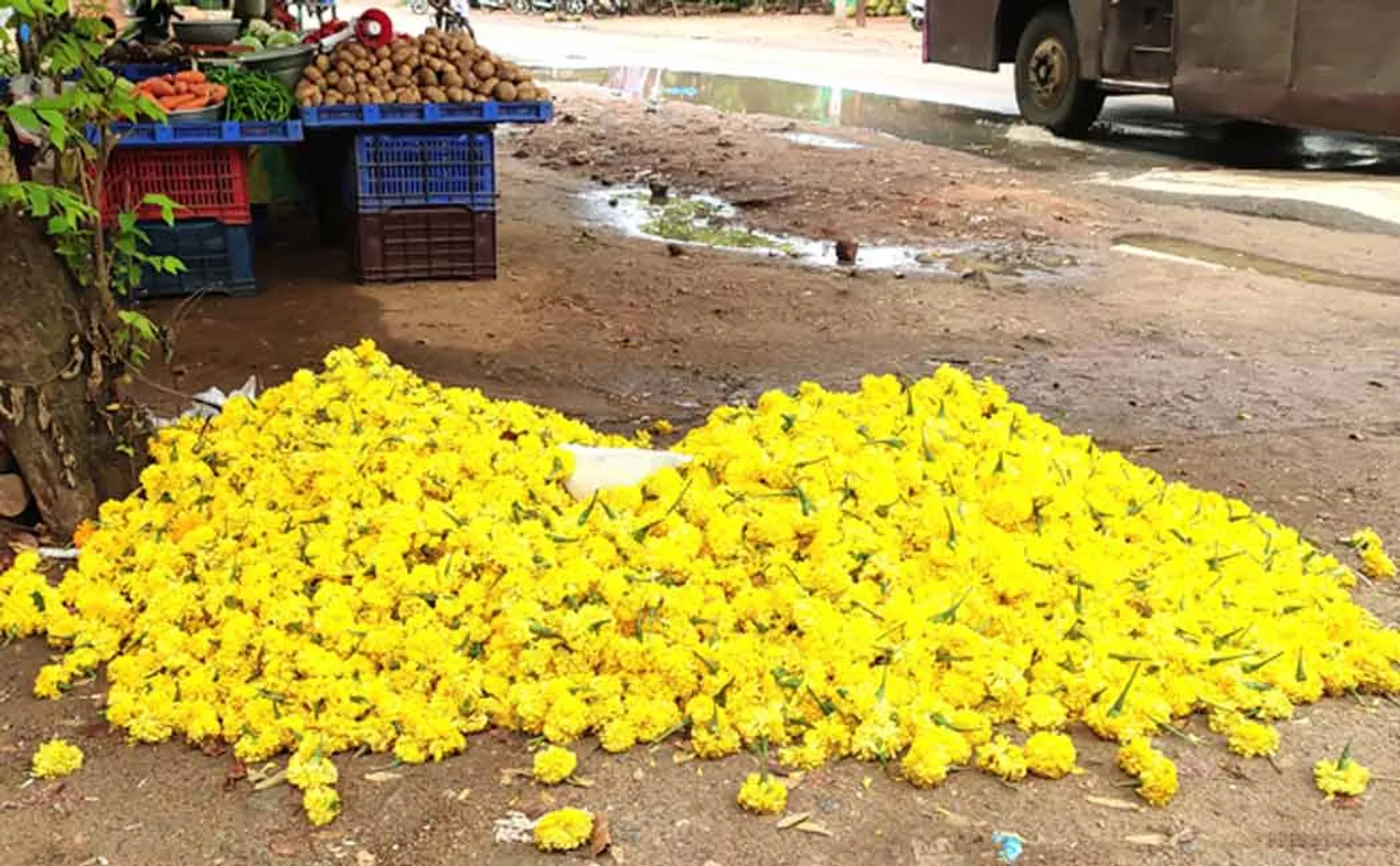 Flowers thrown in the trash in bundles 