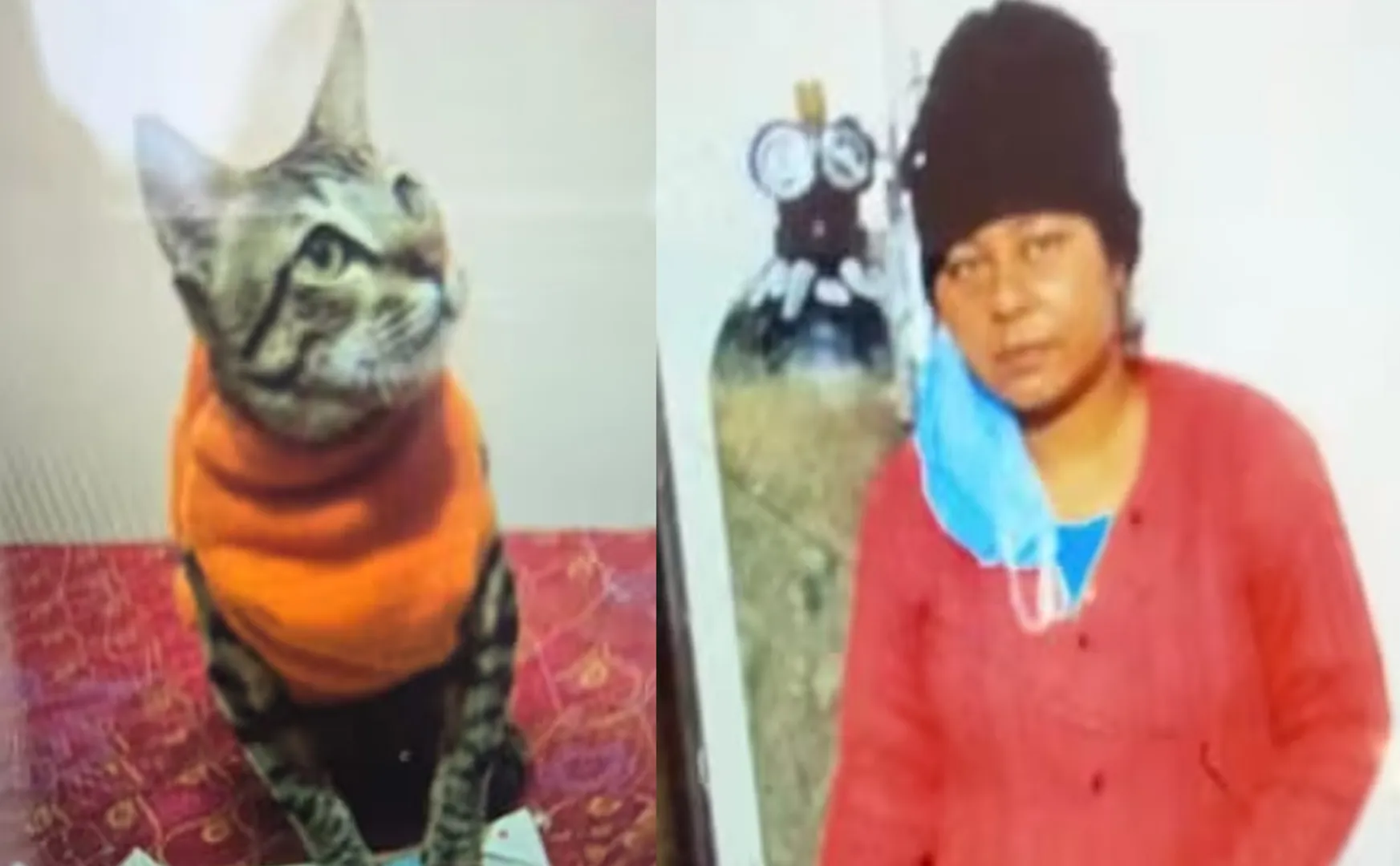 A woman committed by heartbroken after her pet cat passed away in uttar pradesh