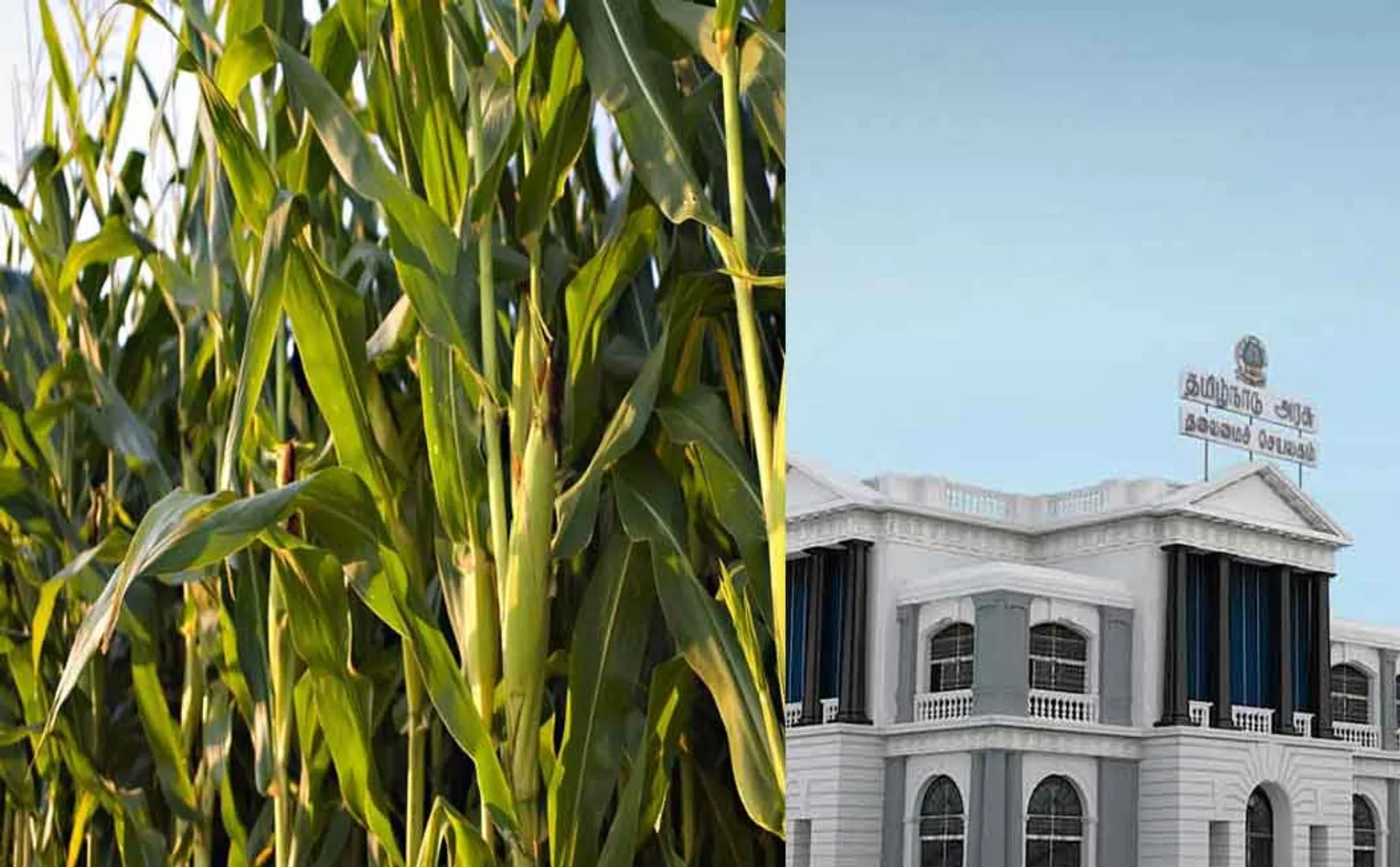 Farmers made a request; TN govt accepted it
