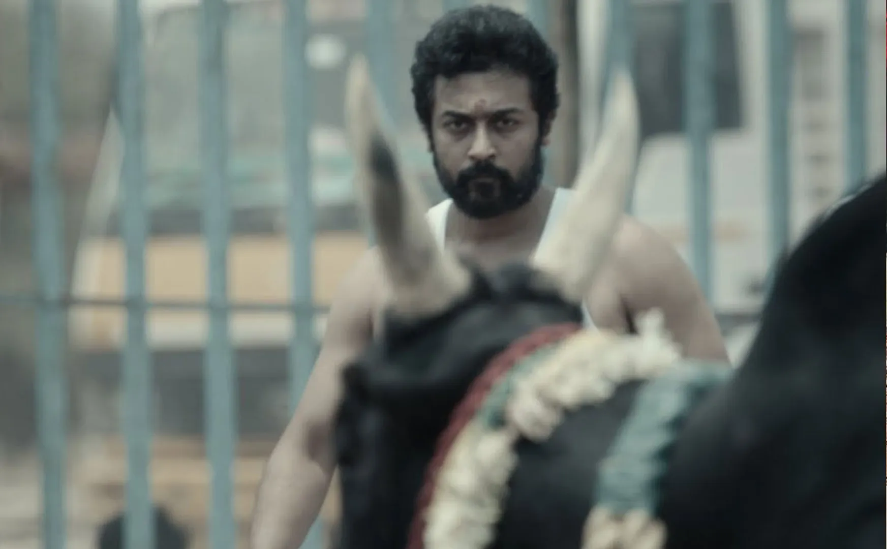 vaadivaasal movie new update