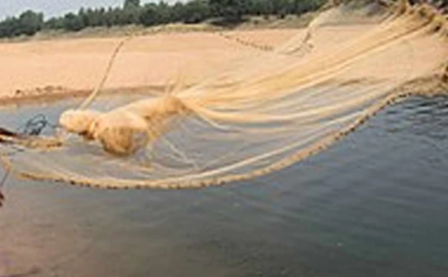 Shocking news as a 10-foot python was caught in a net  lake 
