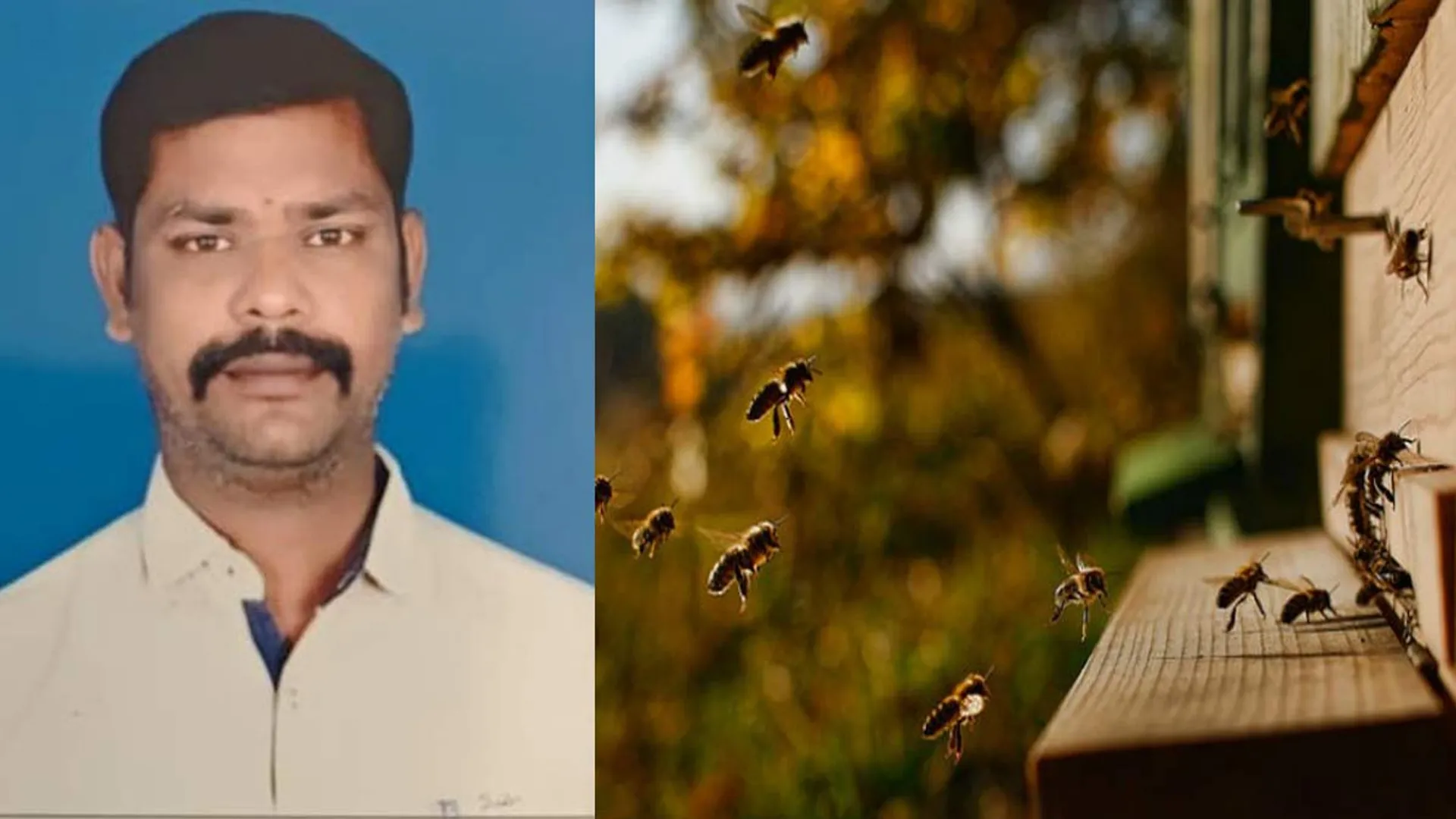 One lose their live;10 injured in bee sting