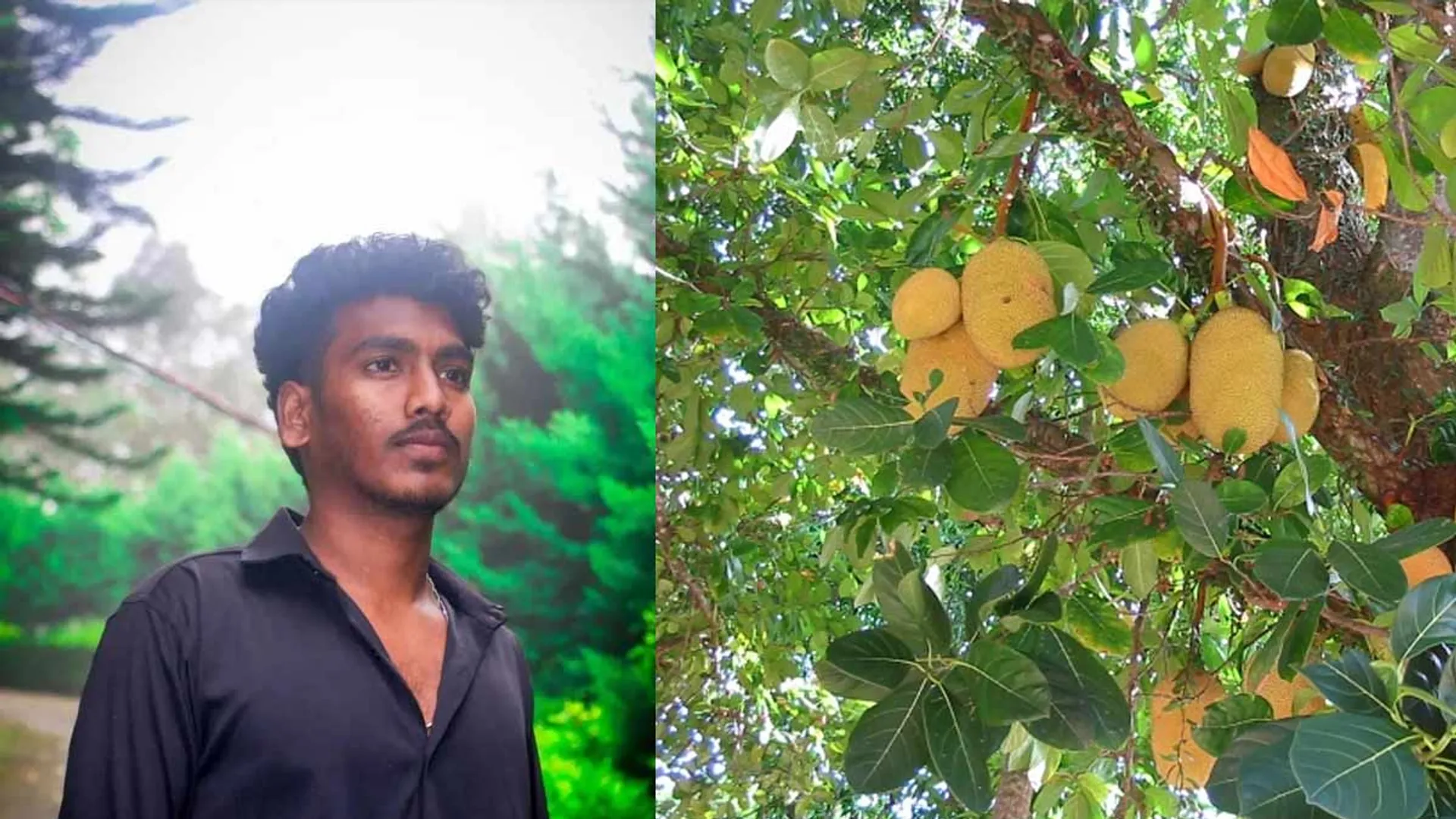 The tragedy befell a student who plucked jackfruit for wages to pay for his studies! Relatives cry