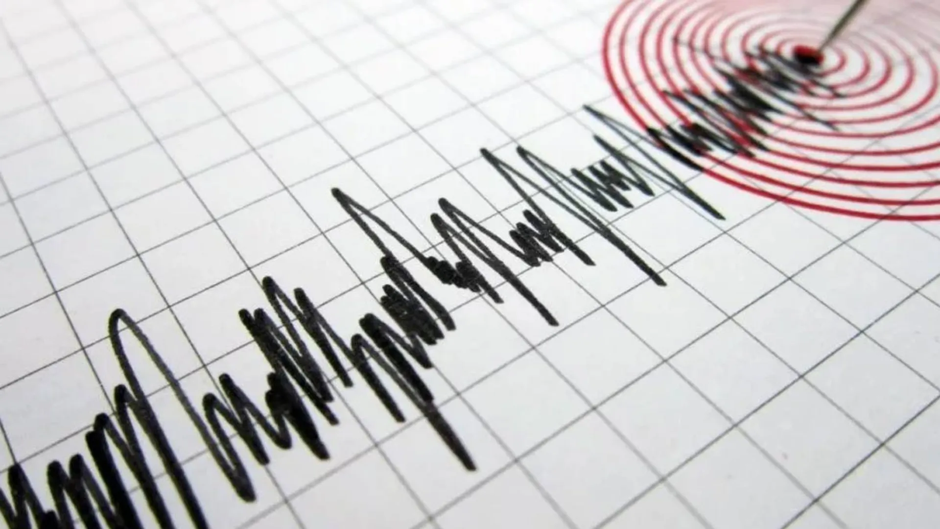 Powerful earthquake; people frozen in fear