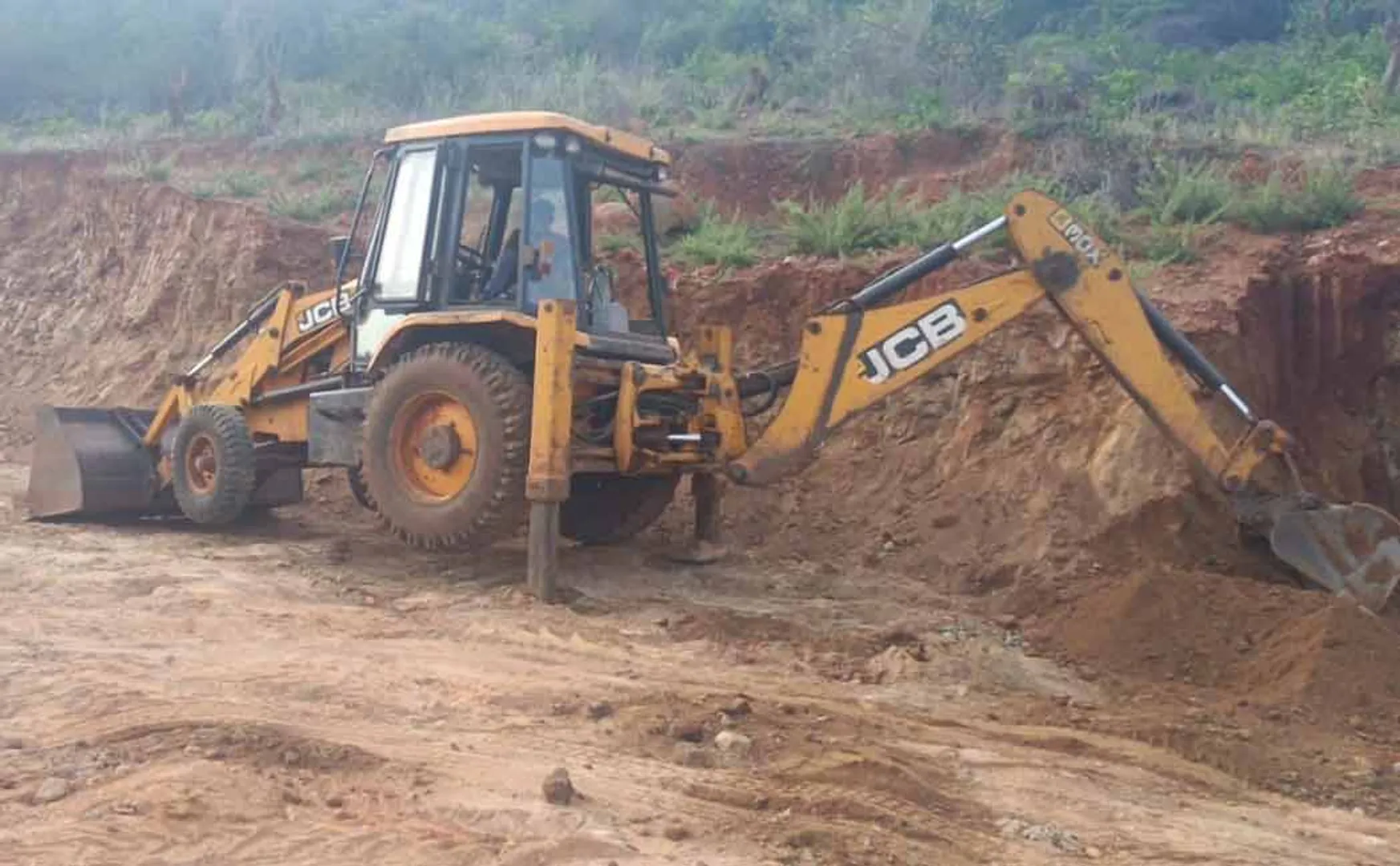 Forest officials caught gang that destroyed forests and dug up soil