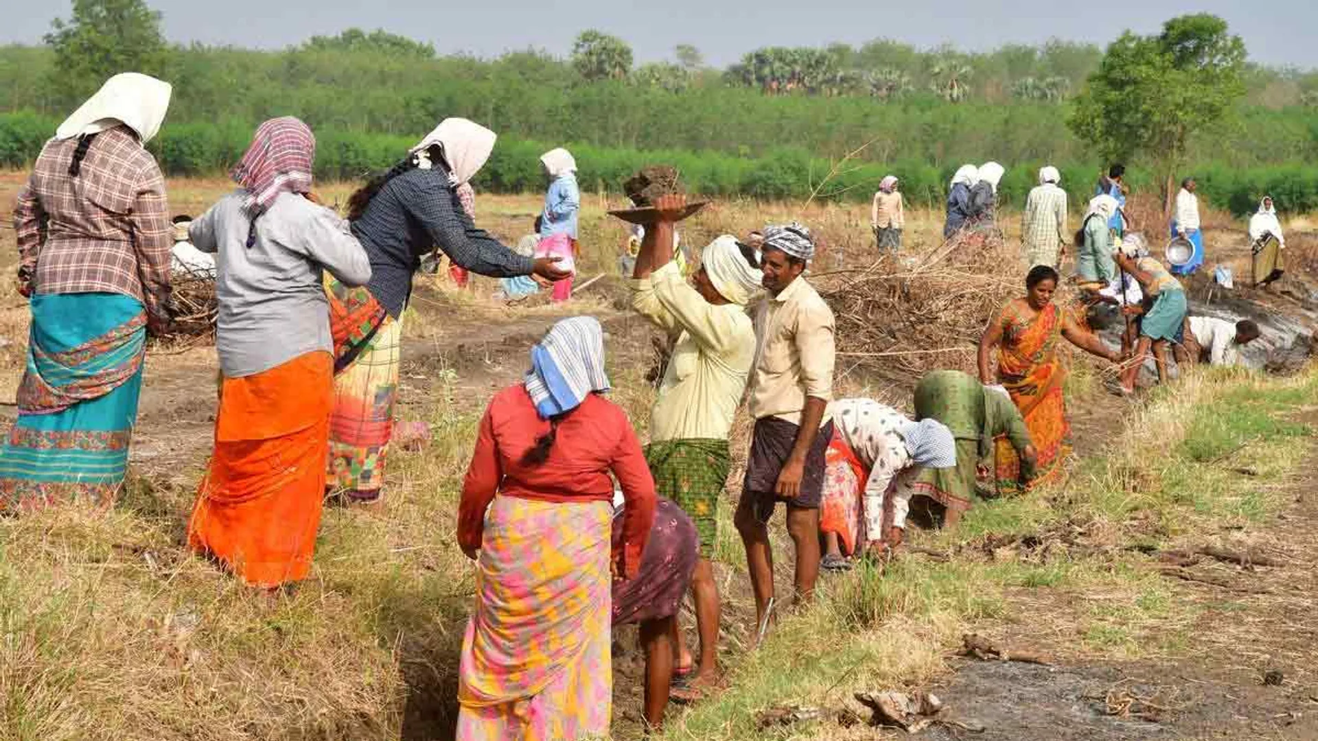 Central government announces increase in daily wages for 100-day work scheme