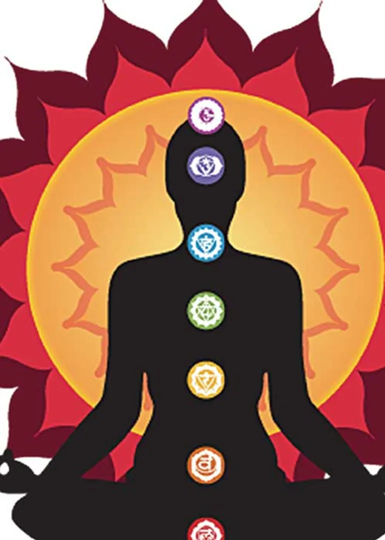 /idhalgal/balajothidam/your-body-your-home-new-vastu-shastra-58-lalgudi-gopalakrishnan