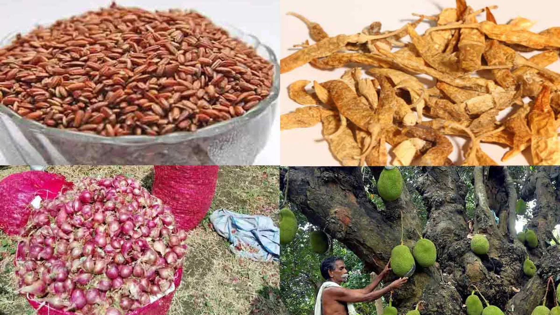 Geographical Indication for 6 more products in Tamil Nadu