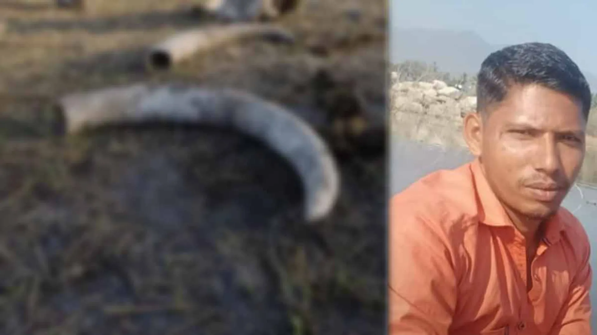 Elephant hunting; Man caught with found lose their live