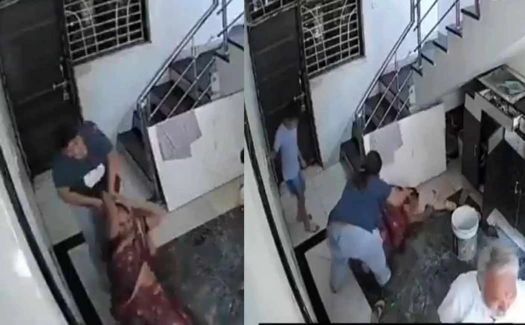 Daughter-in-law who grabbed her mother-in-law's hair and brutally thrash her in madhya pradesh