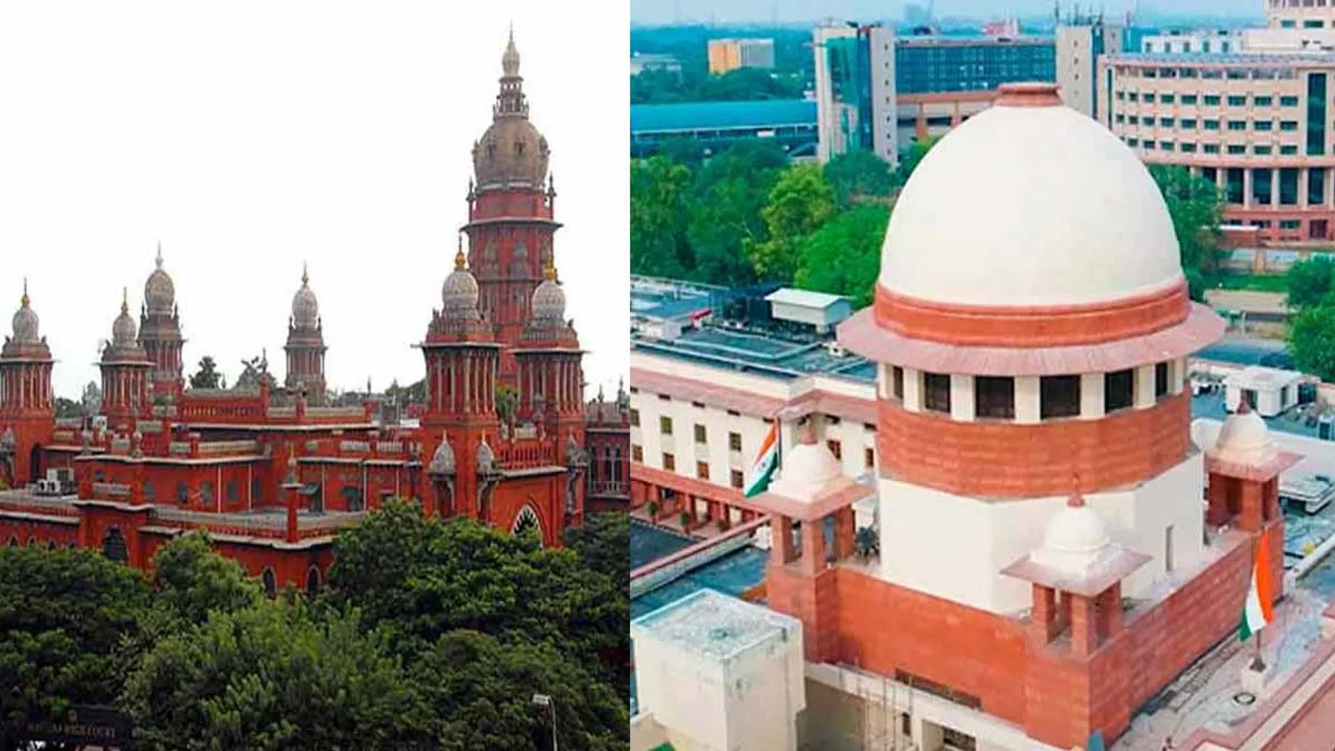 'Let the High Court decide' - Tamil Nadu government withdraws petition