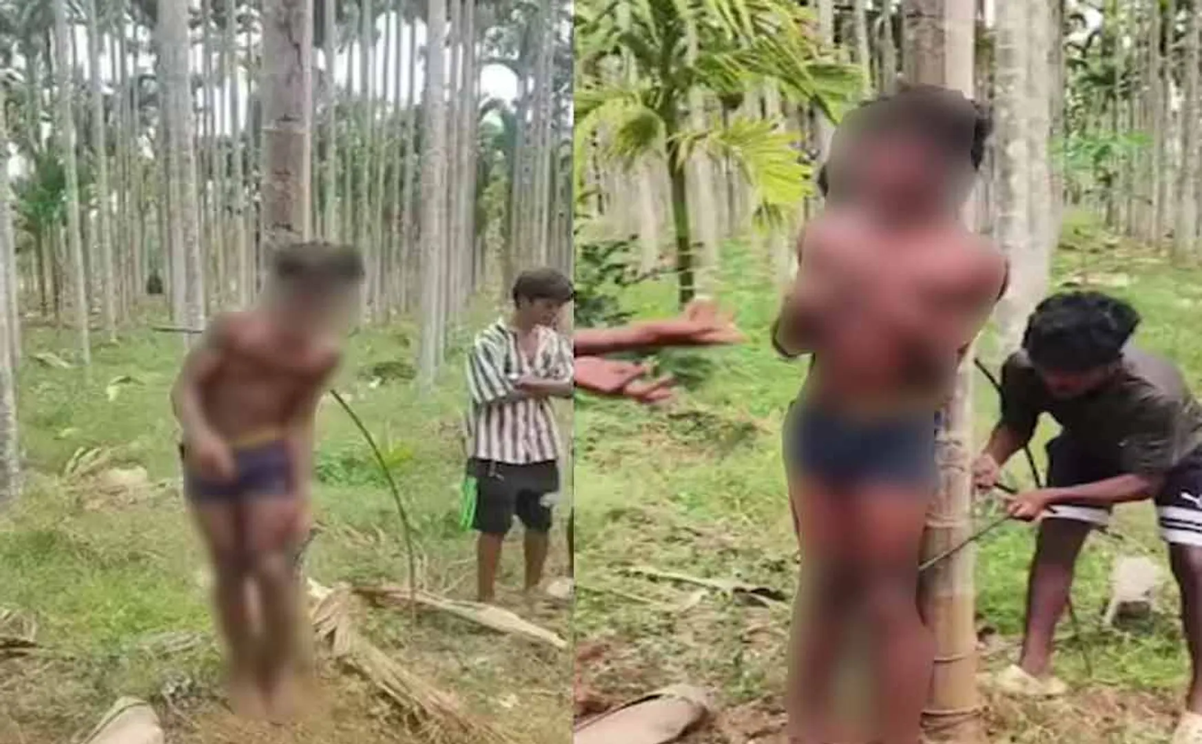 A tribal boy was tied to a tree and tortured with a ant over theft alleged by a relatives in karnataka