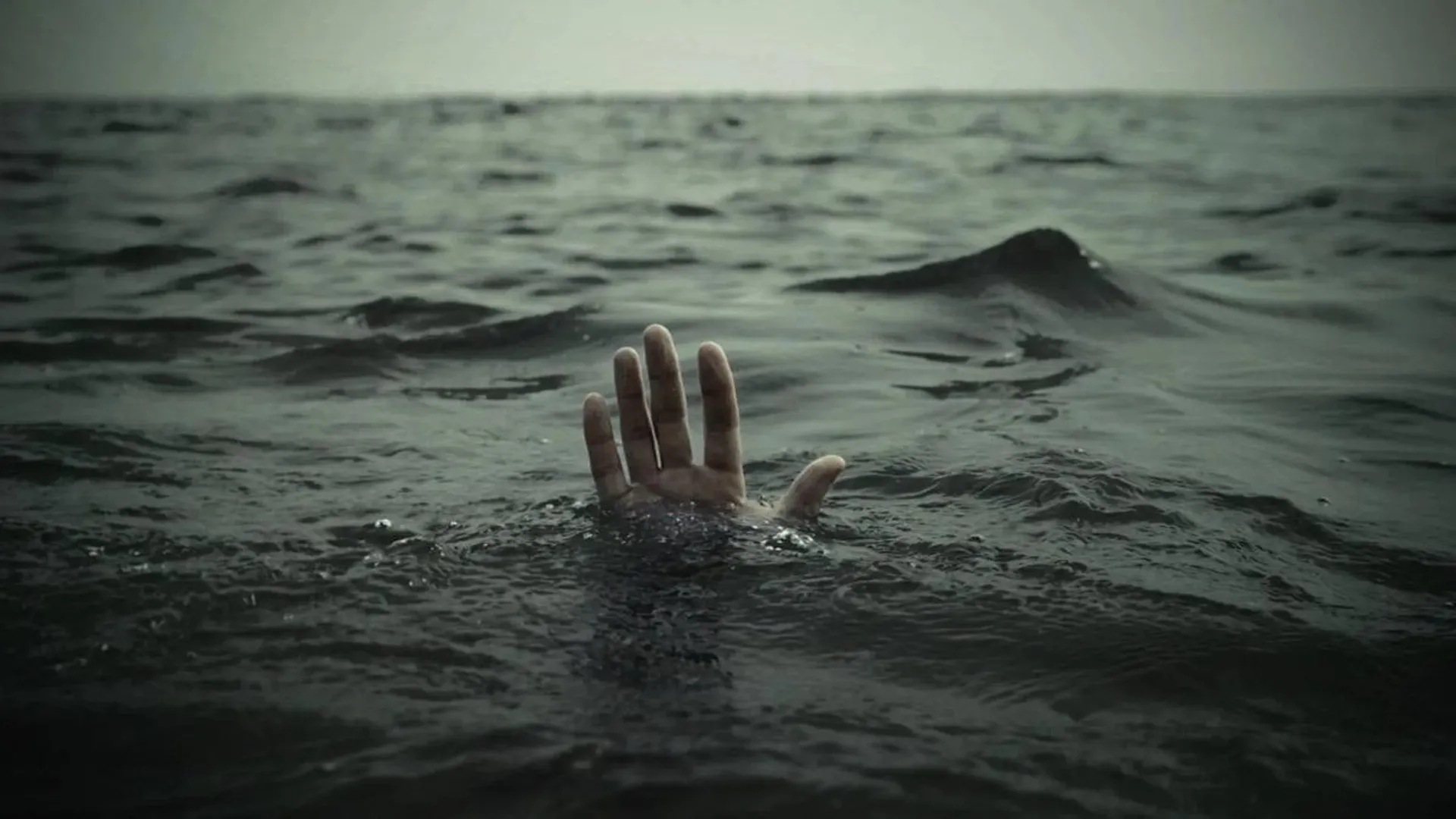  Water bodies in search of prey; School and college students be safe