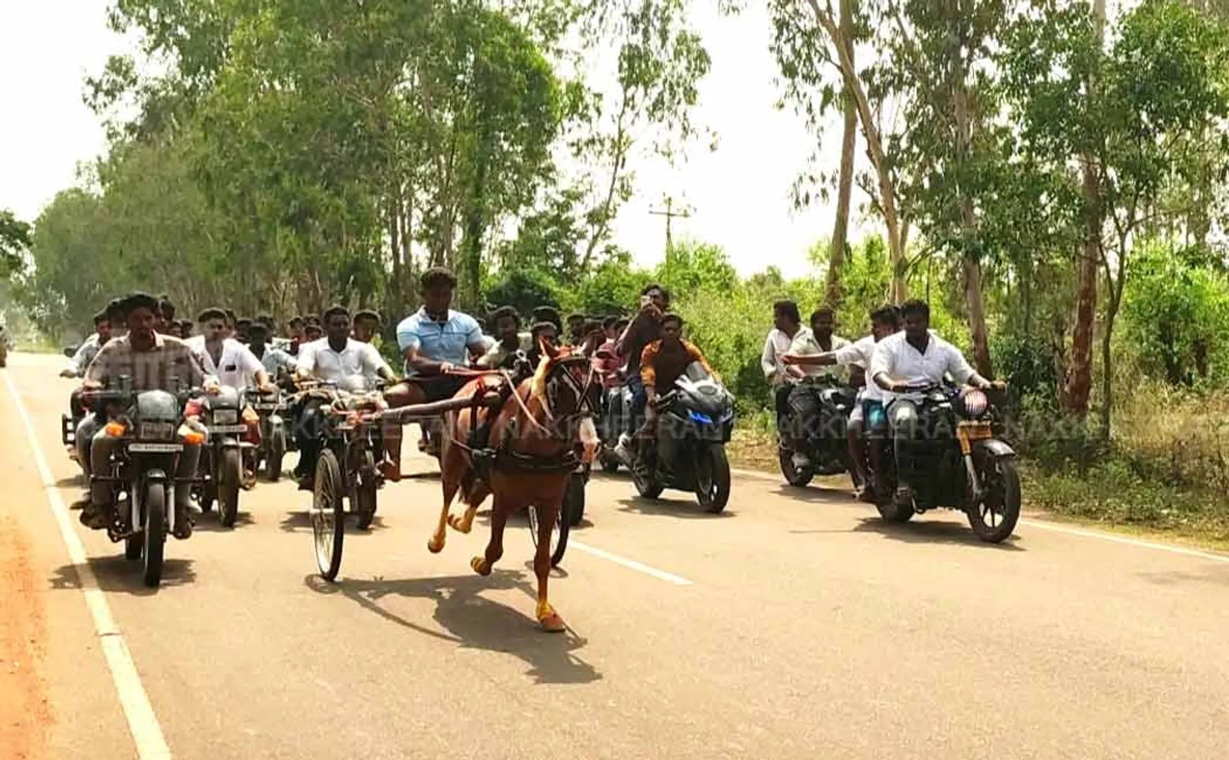  Danger posed by two-wheelers in Horse and bullock cart races