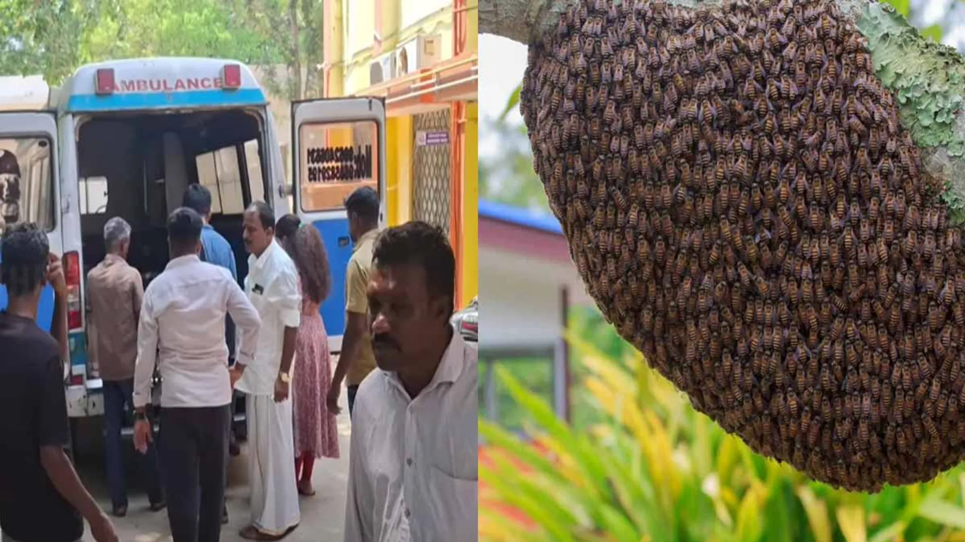 Smoke rises during temple worship; one Lose, many injured after bees sting