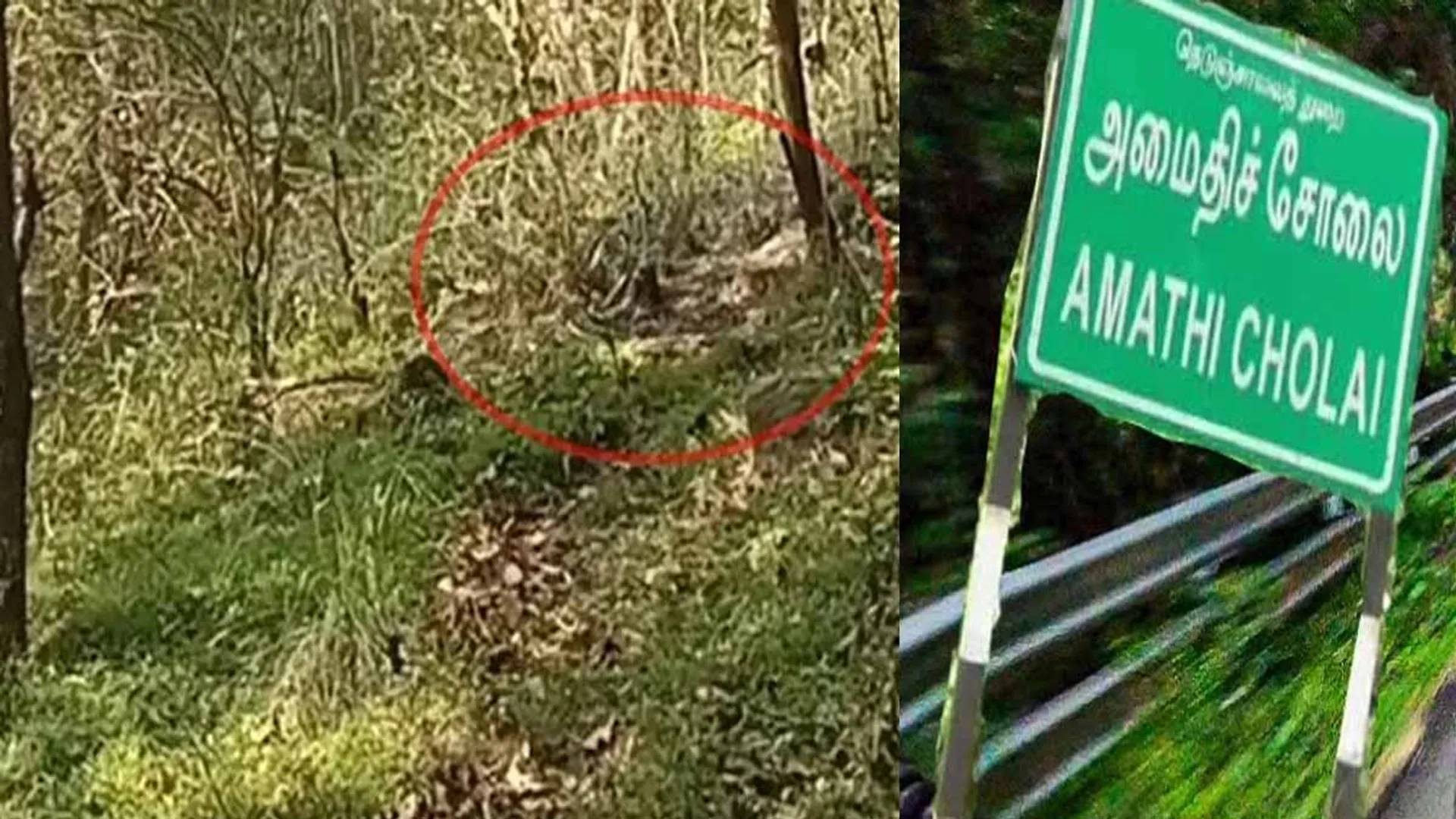  Woman's body found burnt in a pit in Peace Oasis; Awful confession given by boyfriend