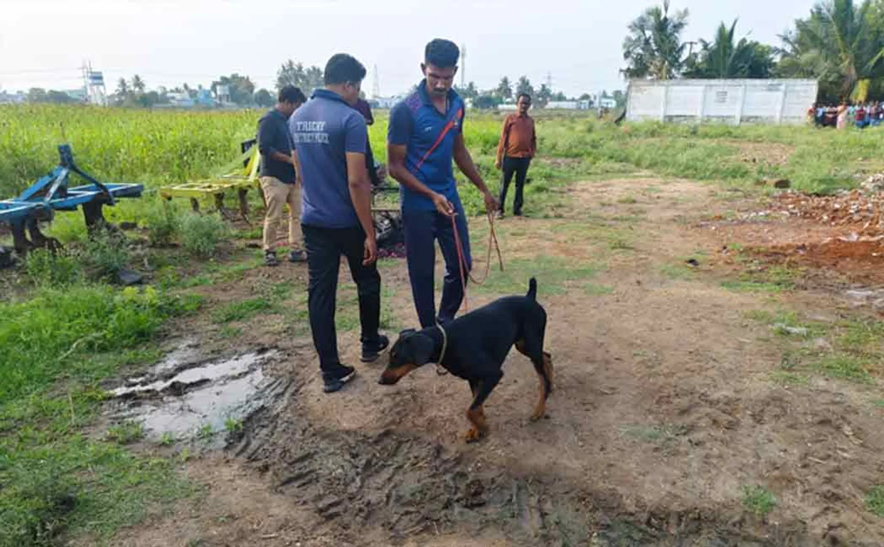 mother incident her son due to property issue