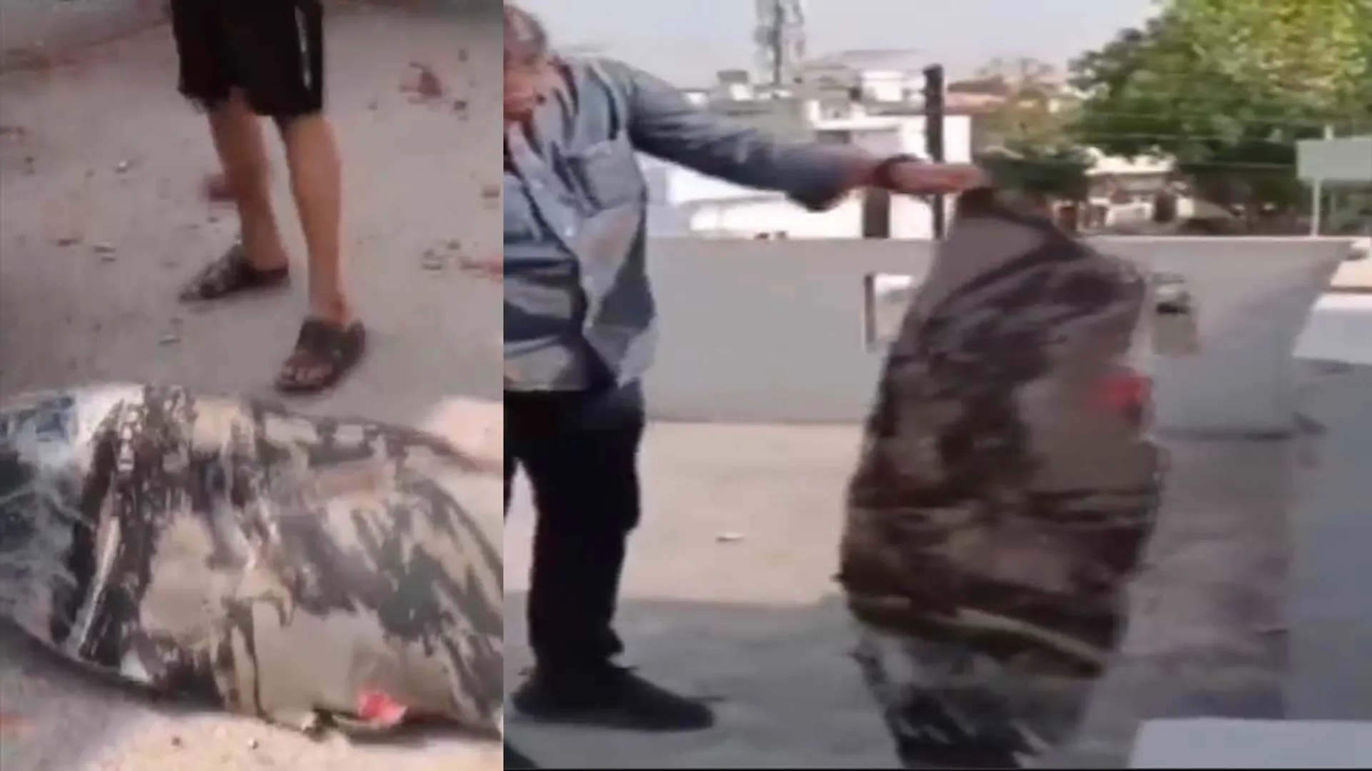 Mysterious object that fell on the terrace