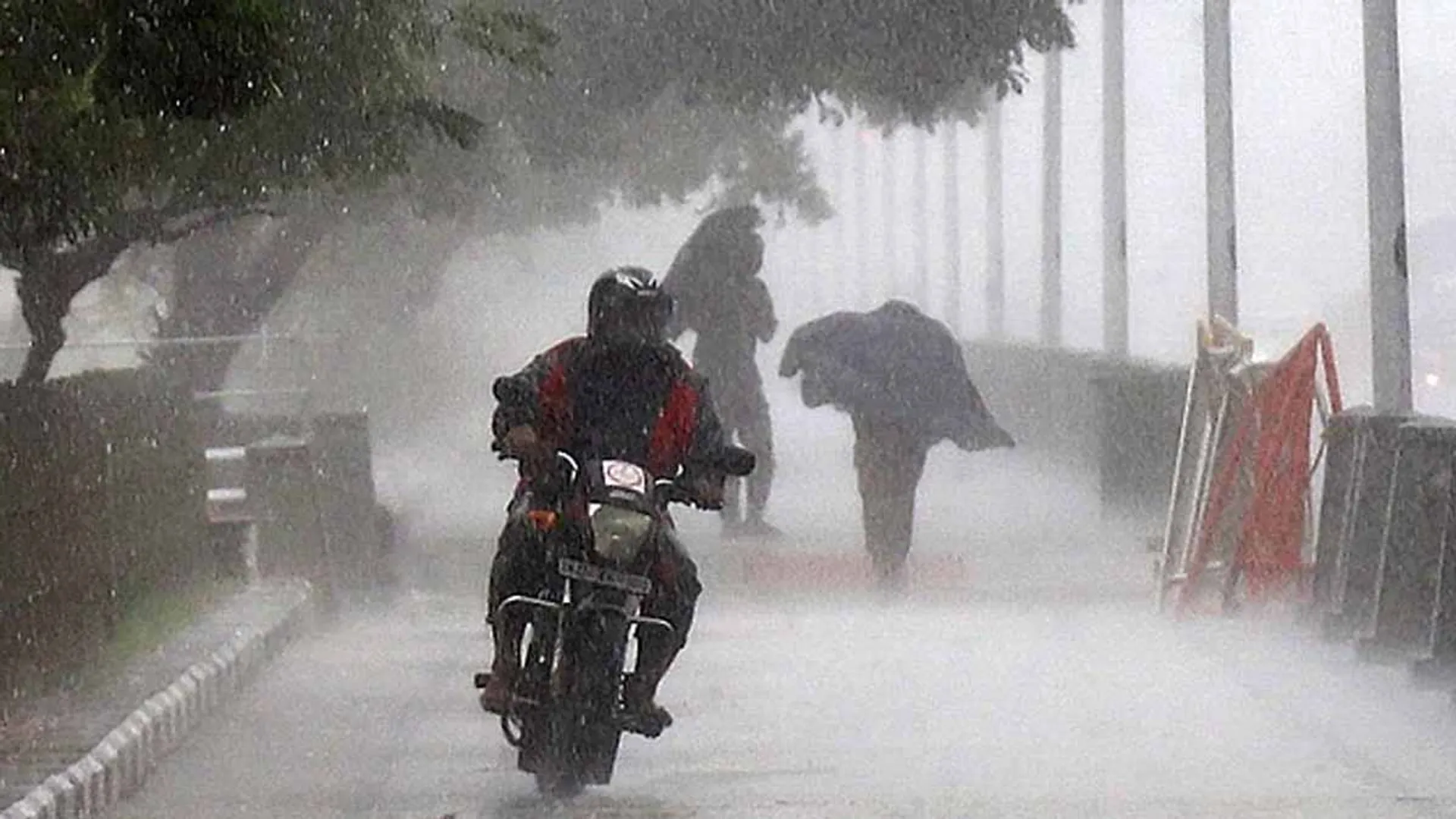 'Cool even in summer' - Rain alert for 9 districts